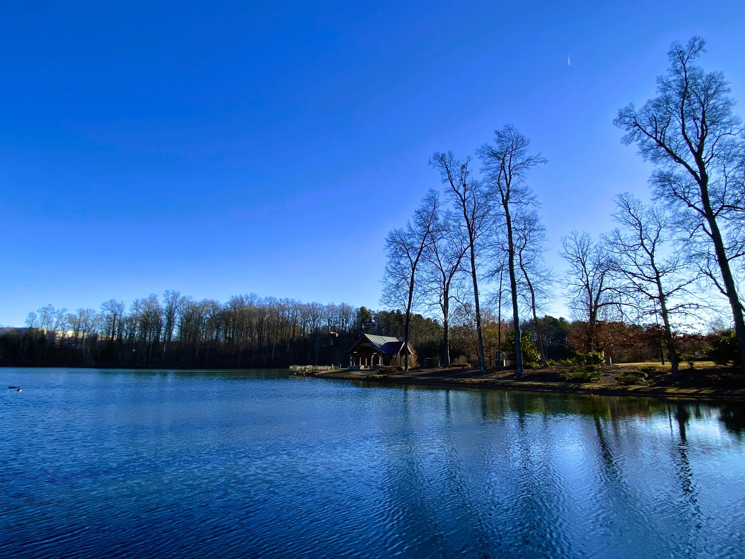 Afternoon Nature “Duck Walk” and Trash Pickup at Davis Lake/Bicentennial Greenway