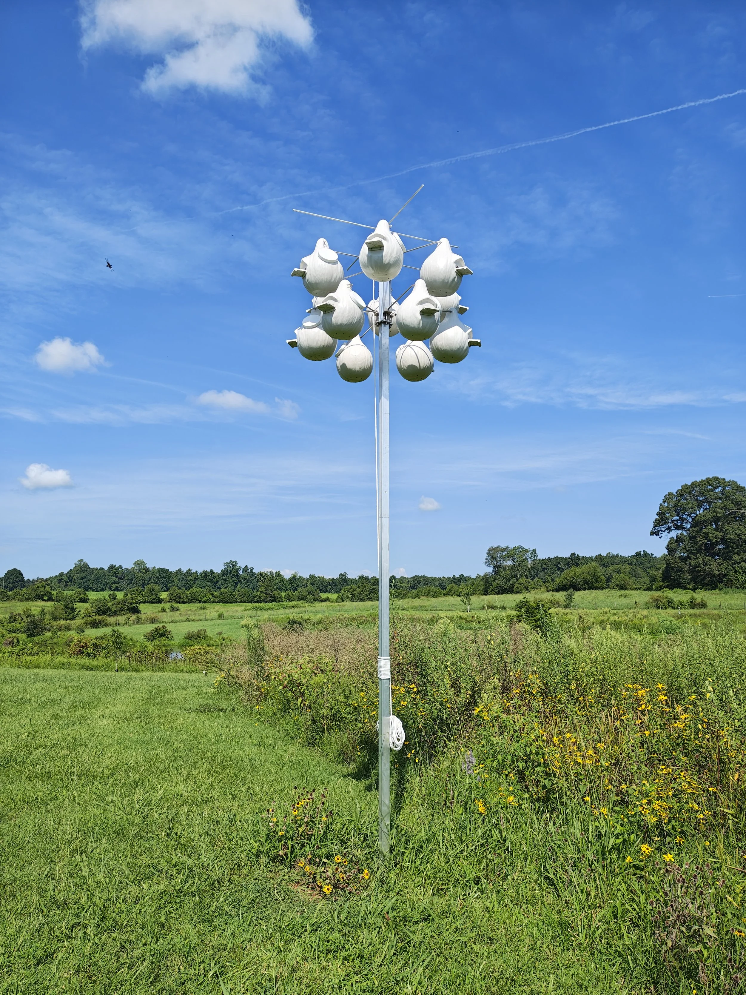New Purple Martin Housing Completed at Guilford County Farm
