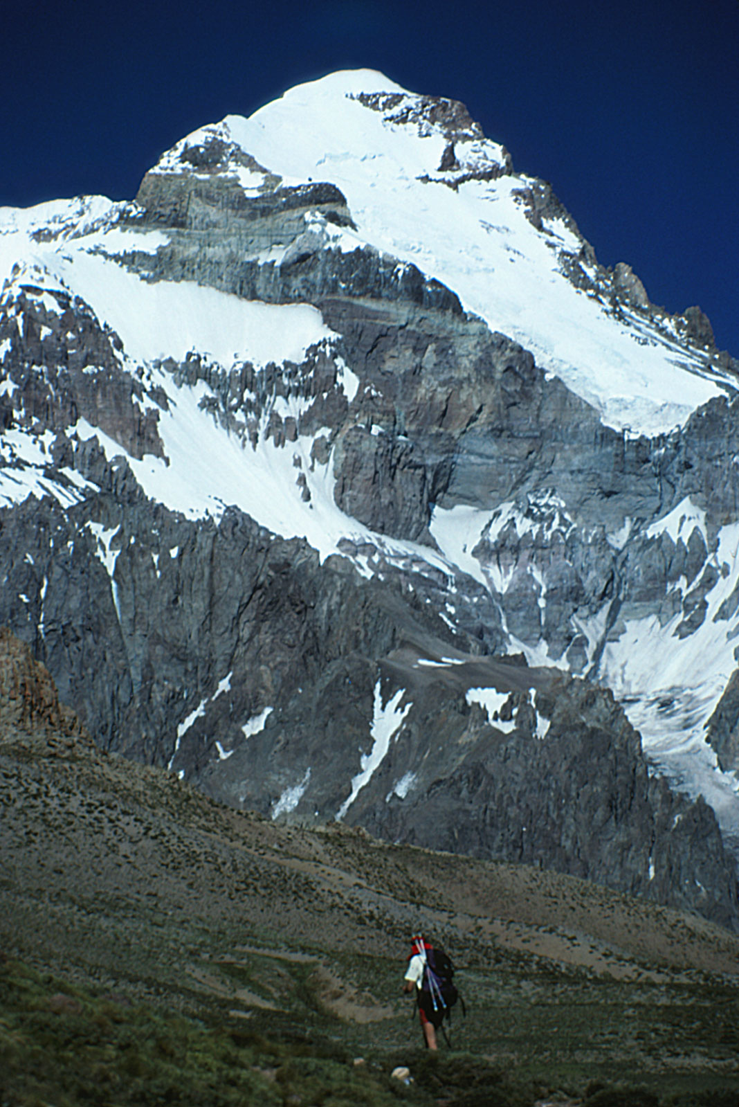 Acon_Polish-Glacier_c.jpg