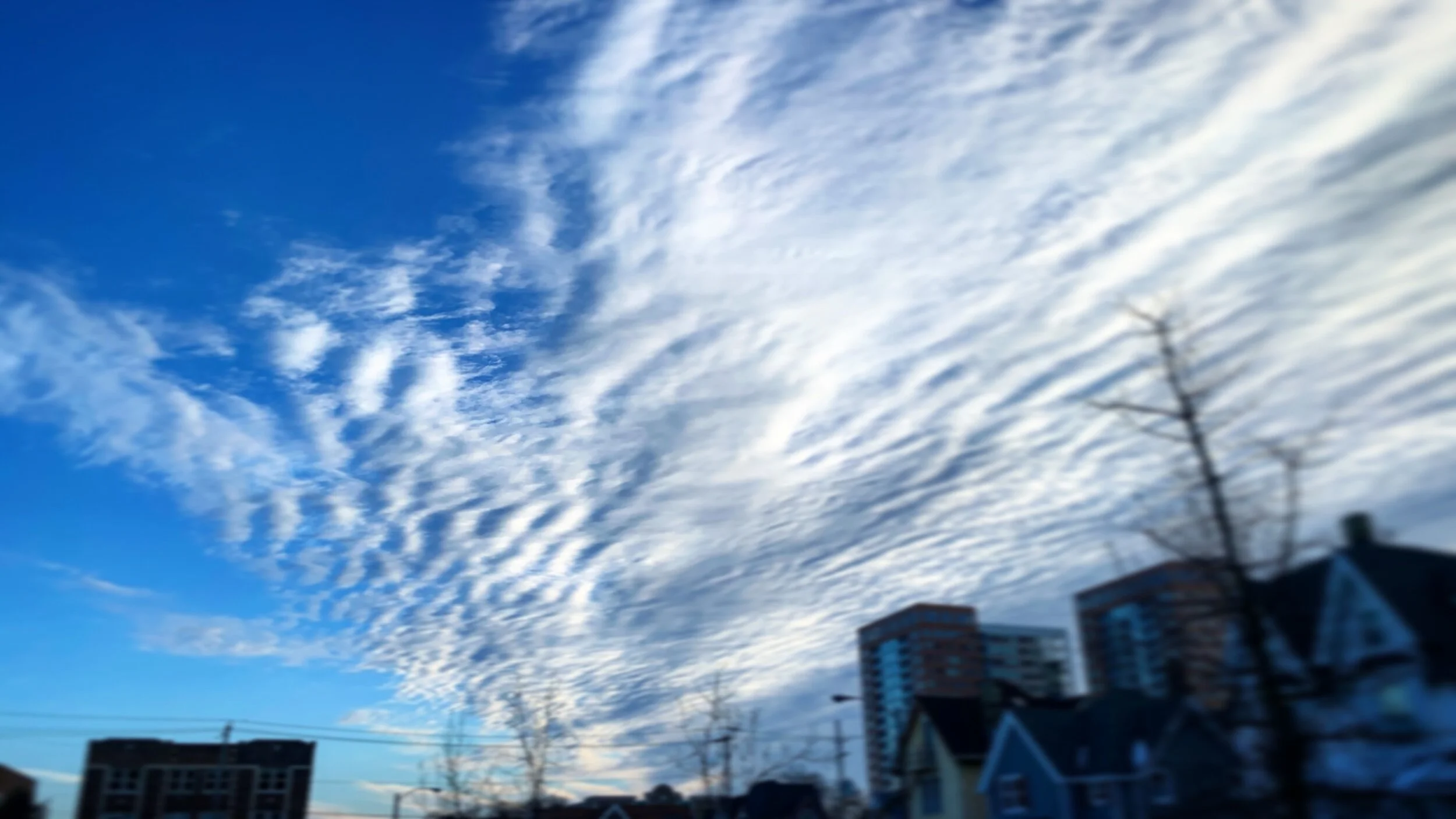 D12E481E-9156-458A-A392-DC30B52F5E37.jpeg