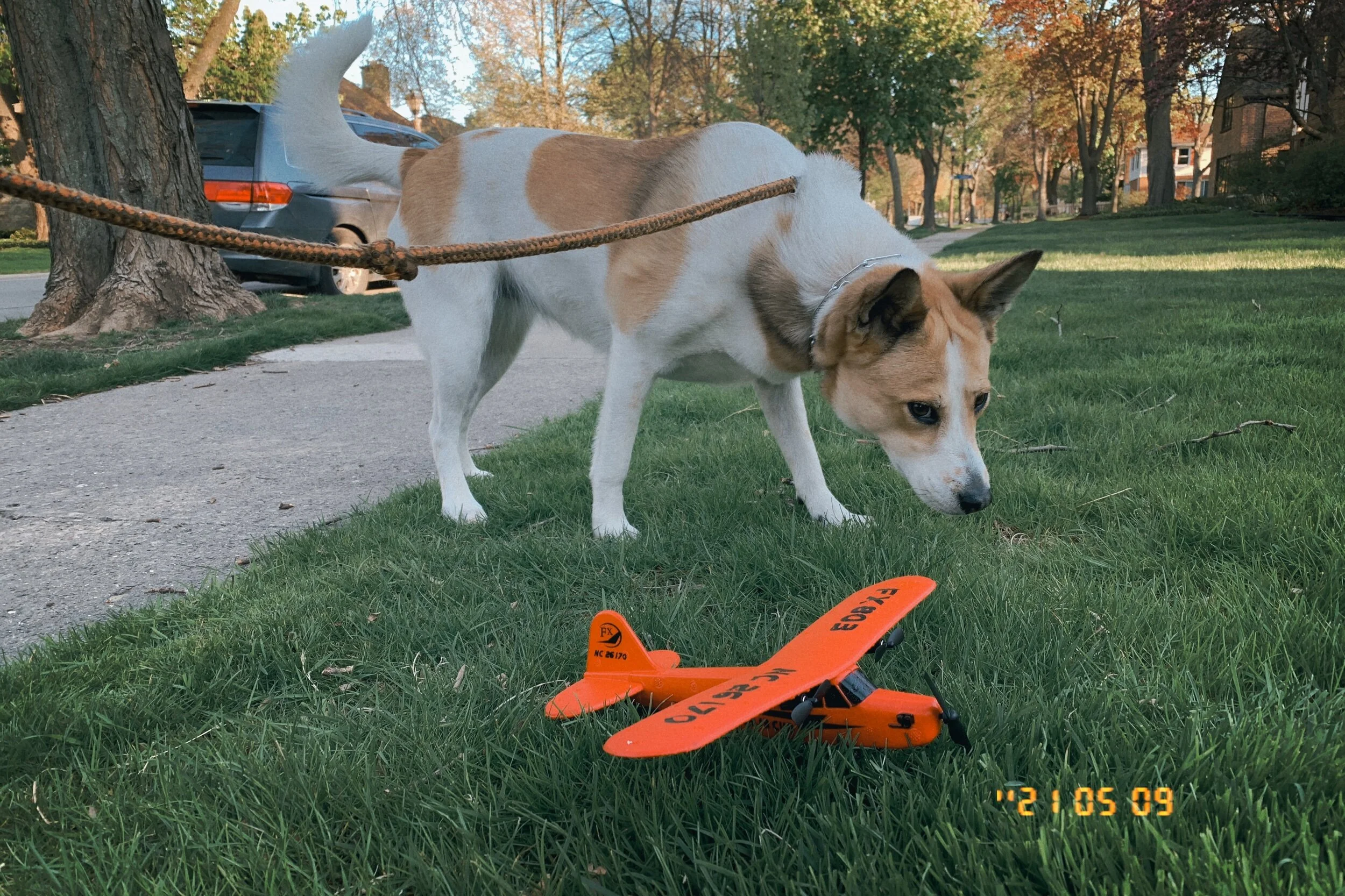 IMG_2152.jpeg
