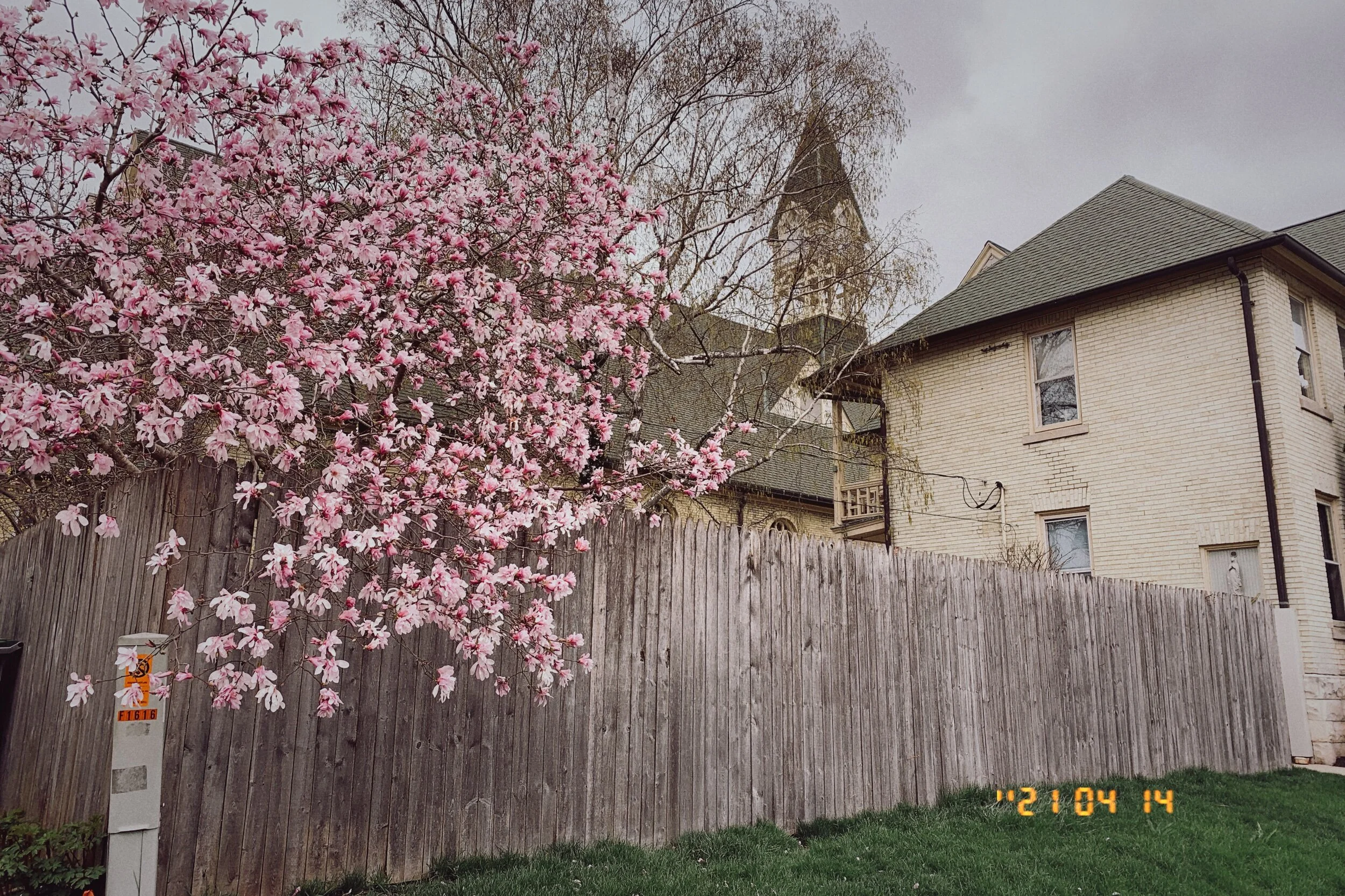 IMG_1914.jpeg