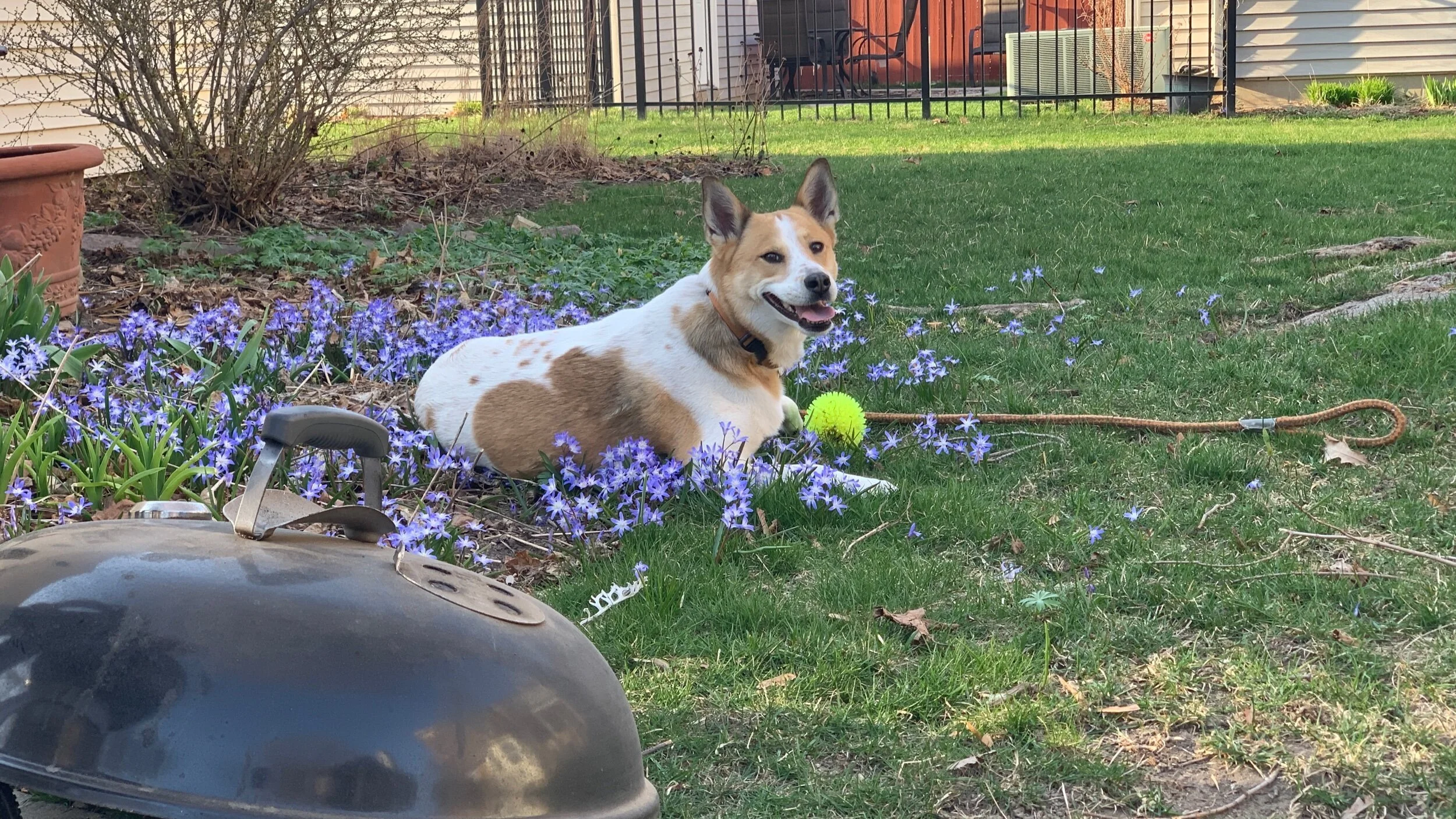 IMG_1845.jpeg