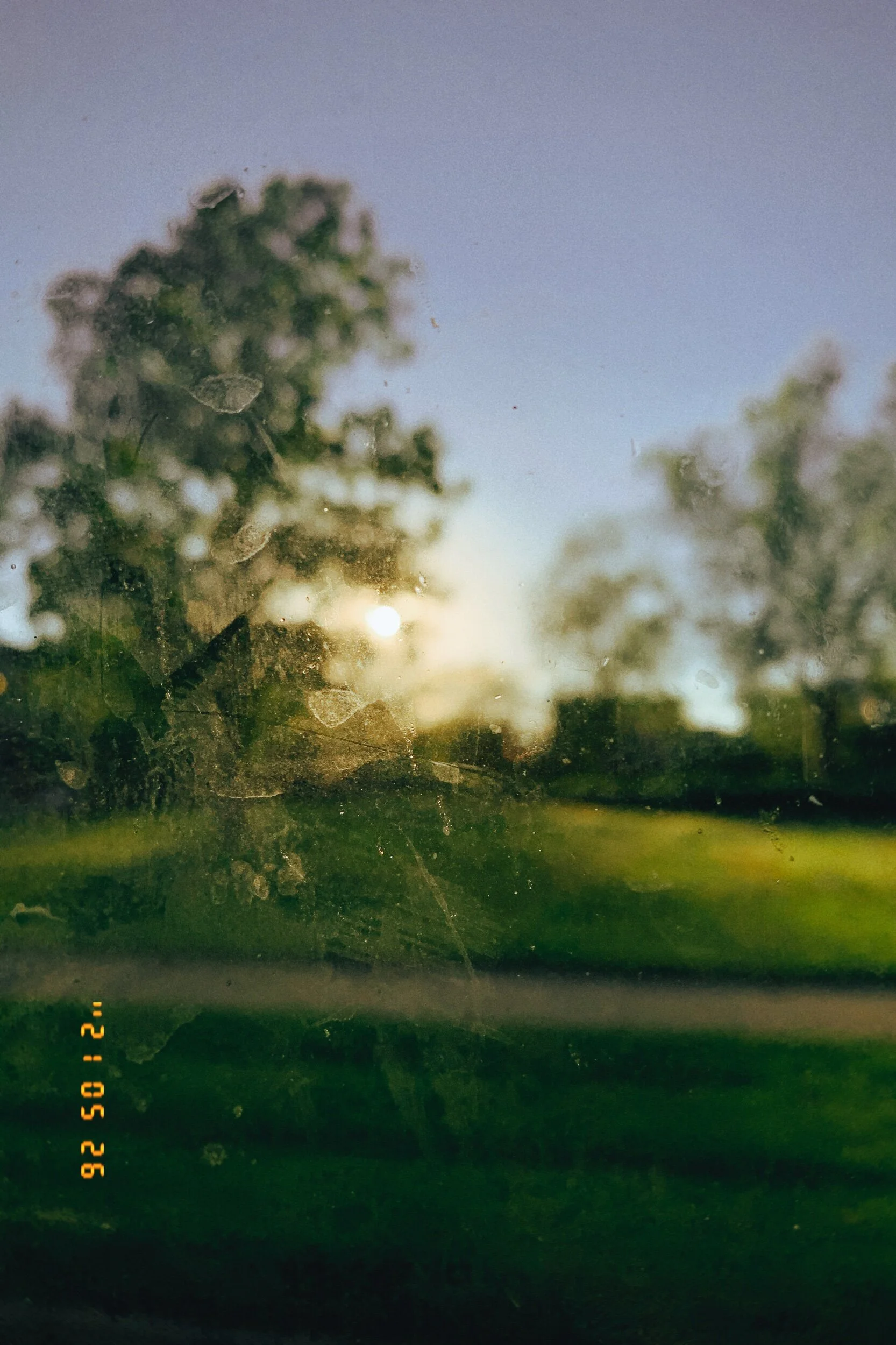 IMG_2340.jpeg