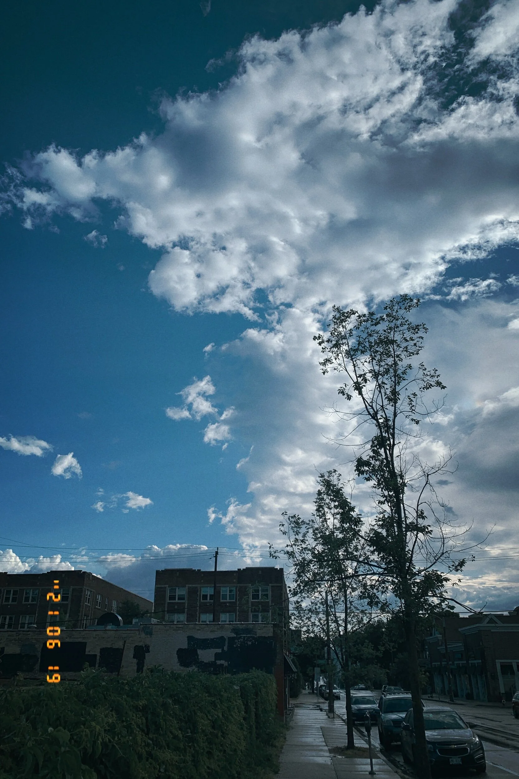 IMG_2613.jpeg