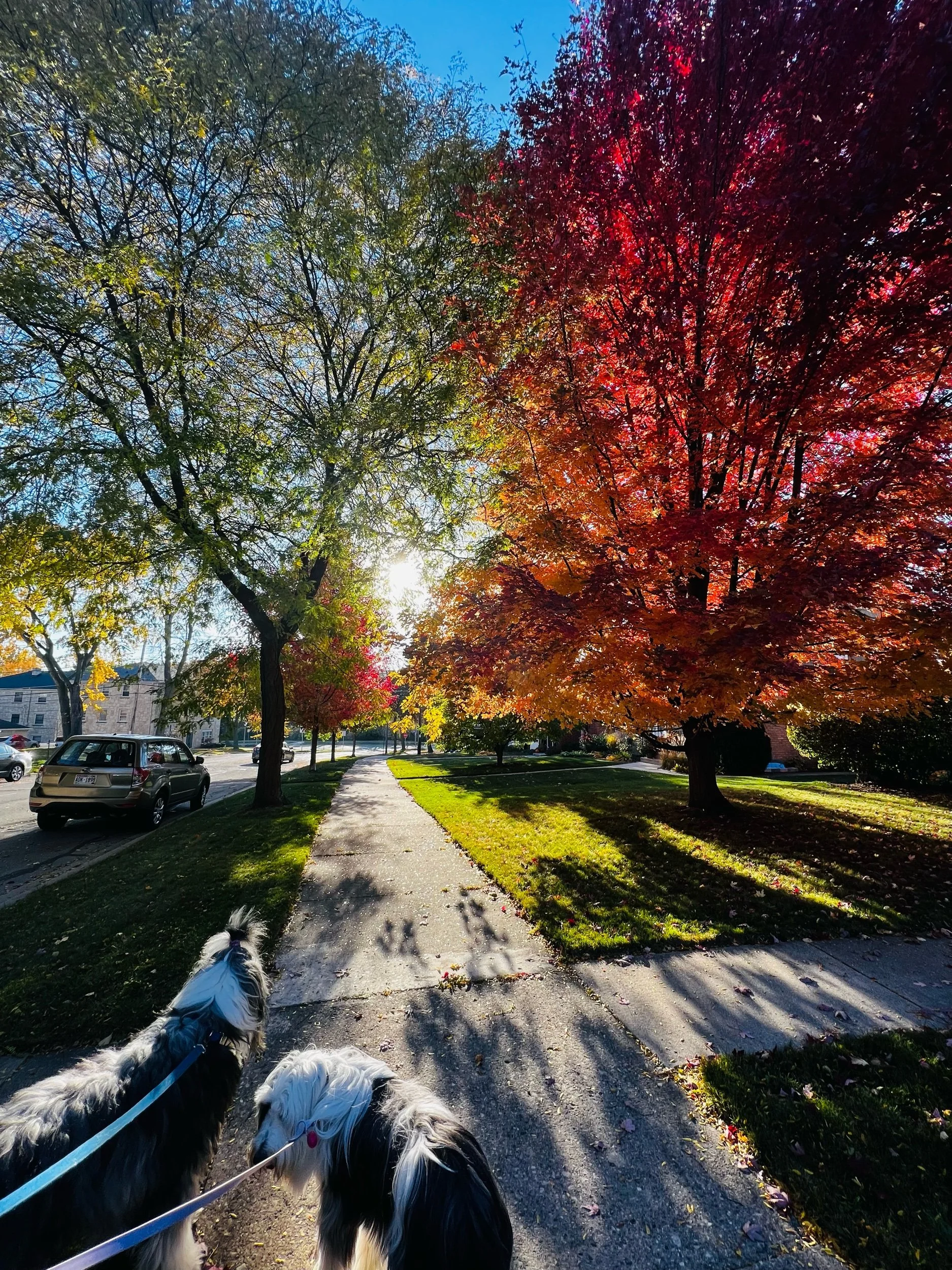 2022/10/22