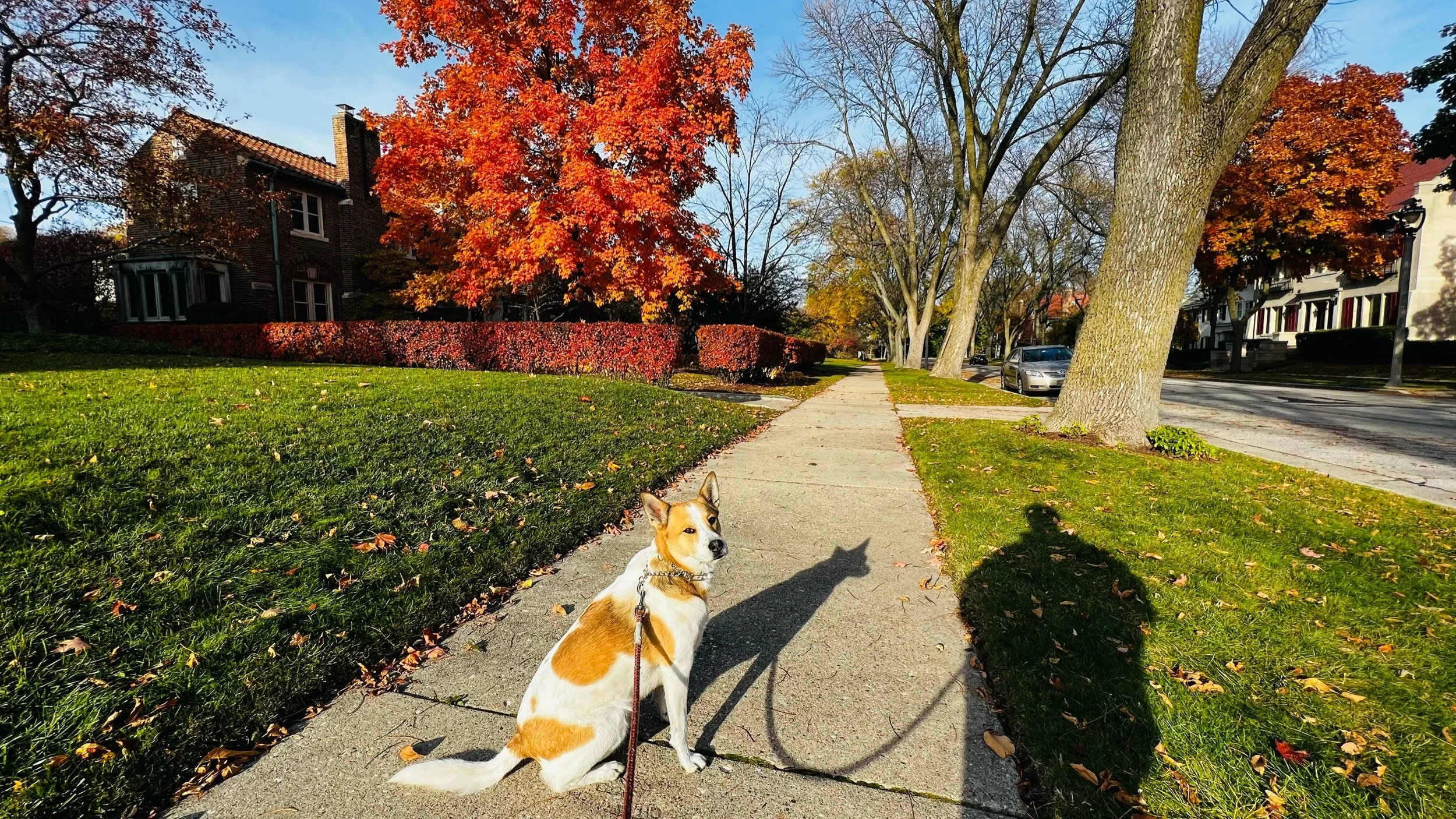 20/22/10/27