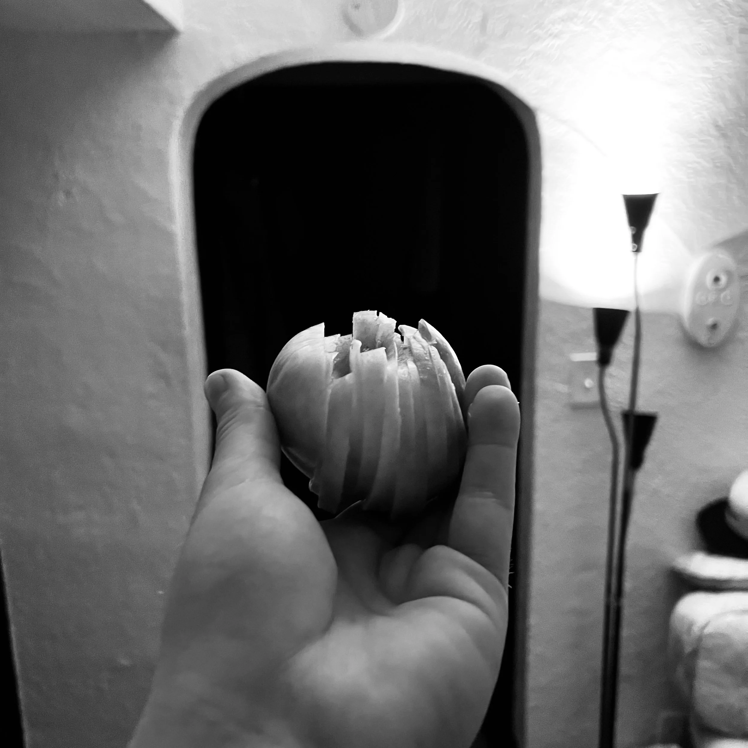IMG_8098.jpeg