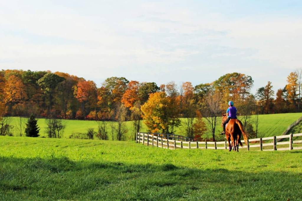 Trail Rides