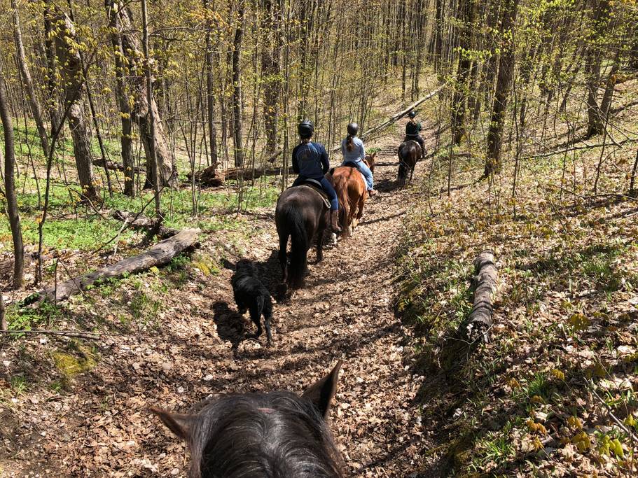 Trail Rides