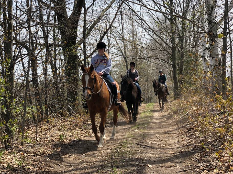 Trail Rides