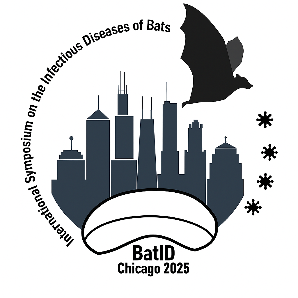 logo.png