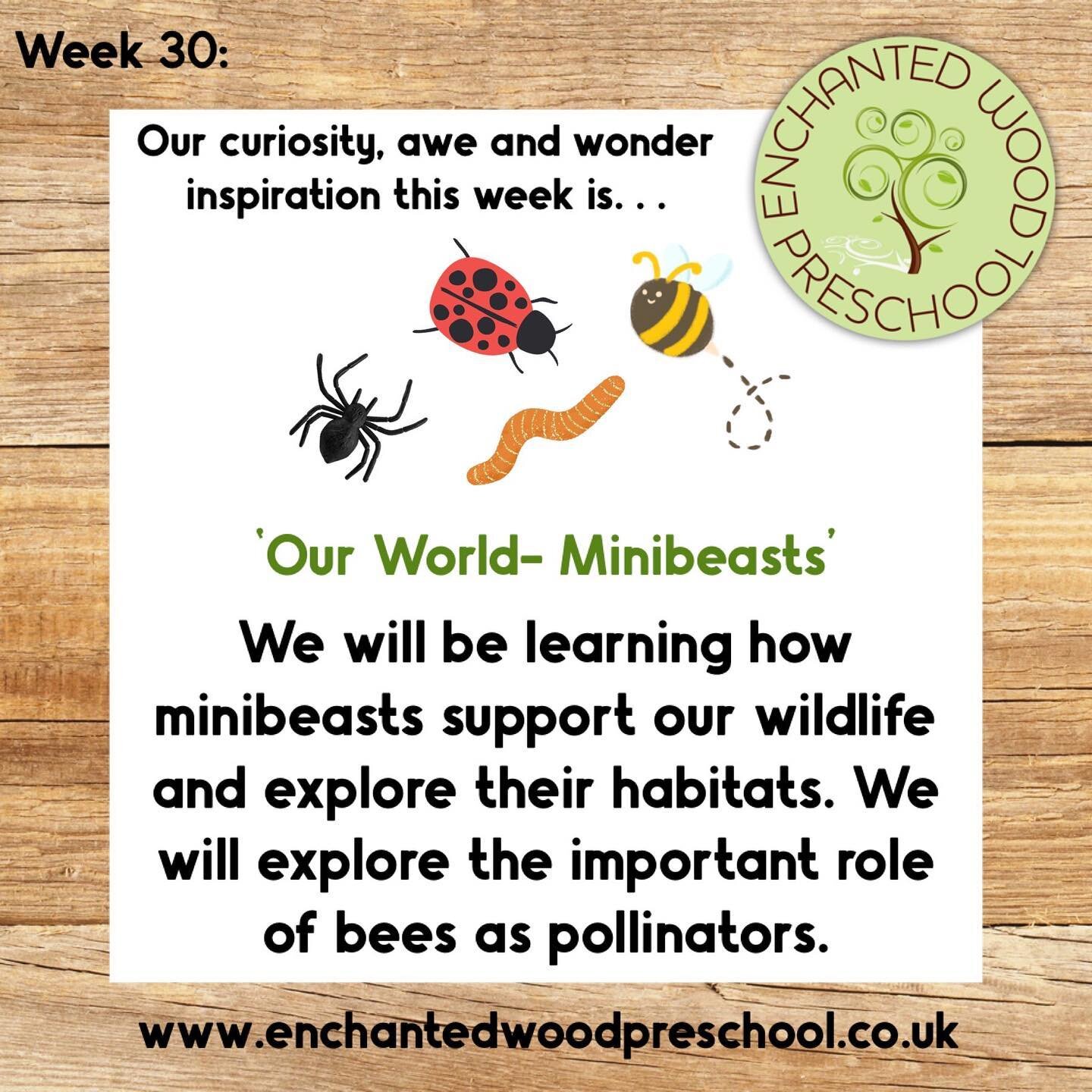 🌳 Week 30: Minibeasts

Our Summer term topic looks at &lsquo;Our World&rsquo; 🌎

&hellip; we look at our local area, our wider world and countries special to us. We also explore people who help us, animals on land, in the air and under the sea. 

?