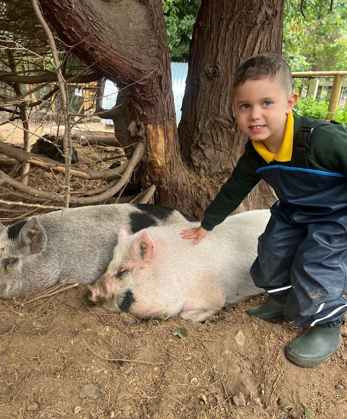 WhatsApp Image 2026-04-13 at 18.51.19 (1).jpeg