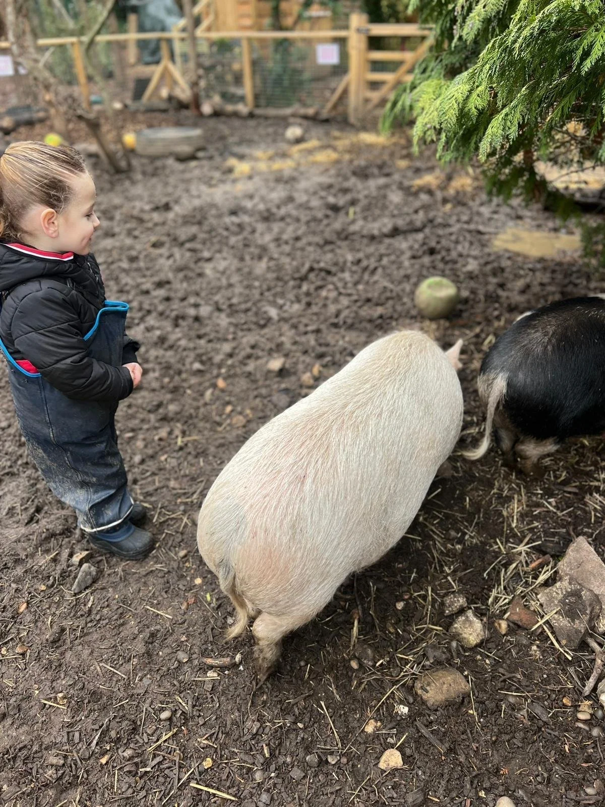 WhatsApp Image 2026-04-13 at 18.51.19.jpeg