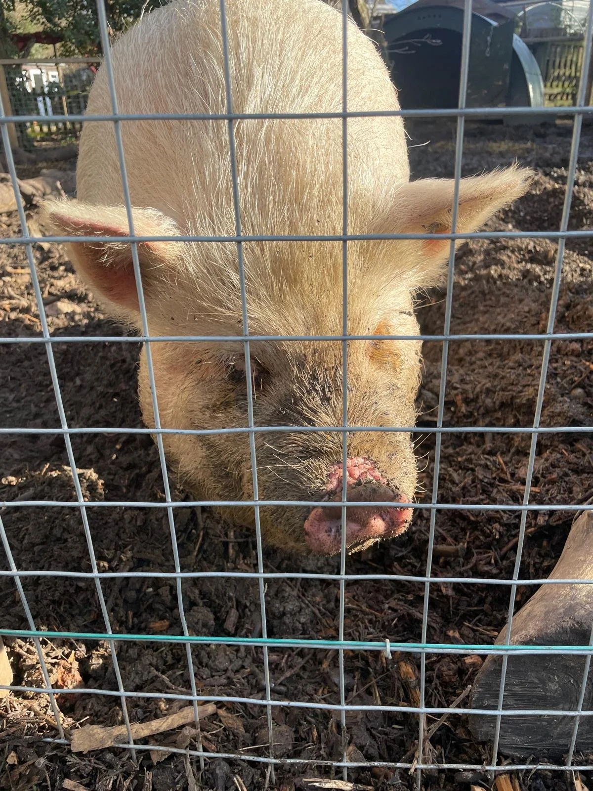 WhatsApp Image 2026-04-14 at 09.34.21 (2).jpeg