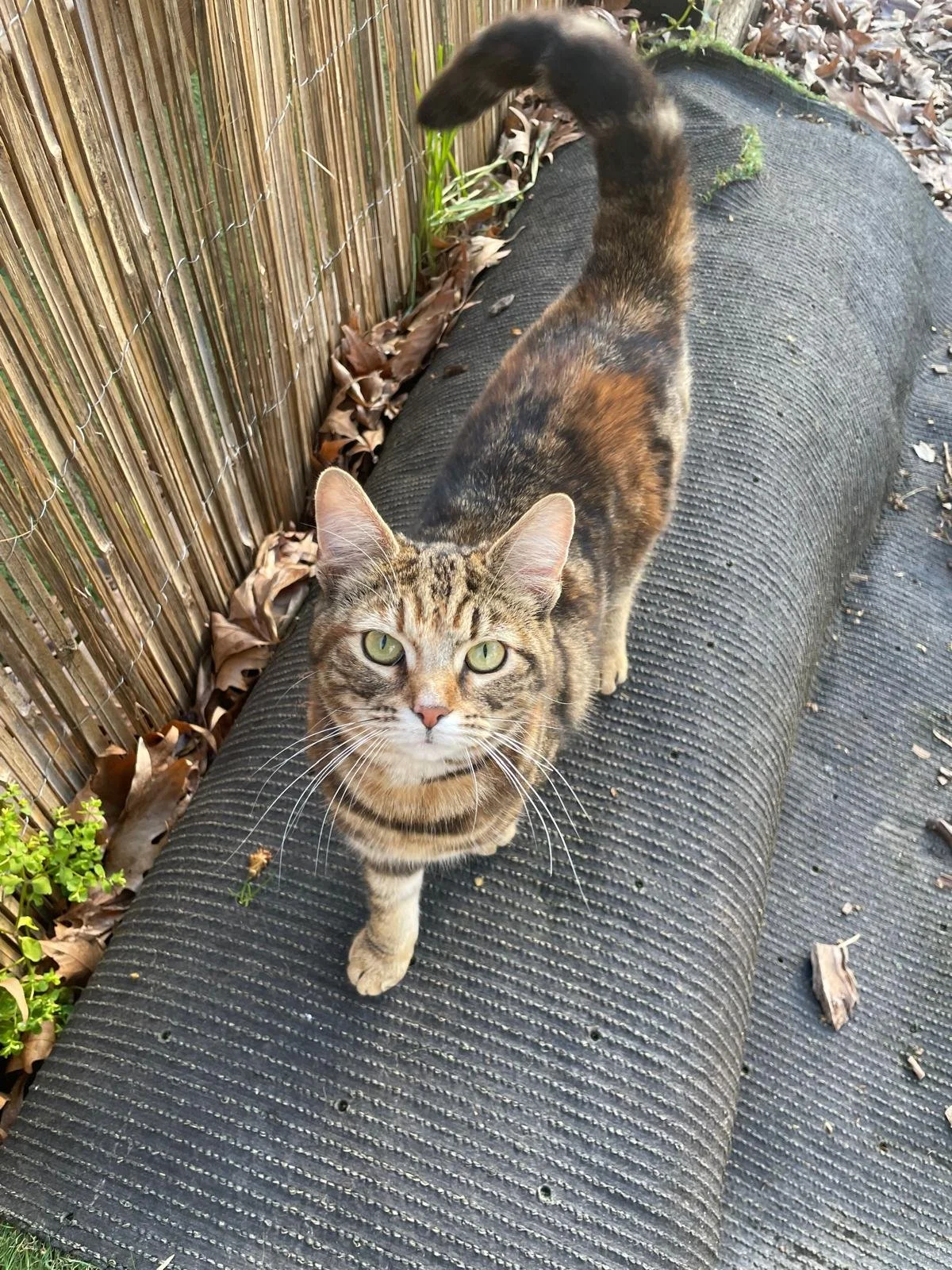 WhatsApp Image 2026-04-14 at 09.35.15 (1).jpeg