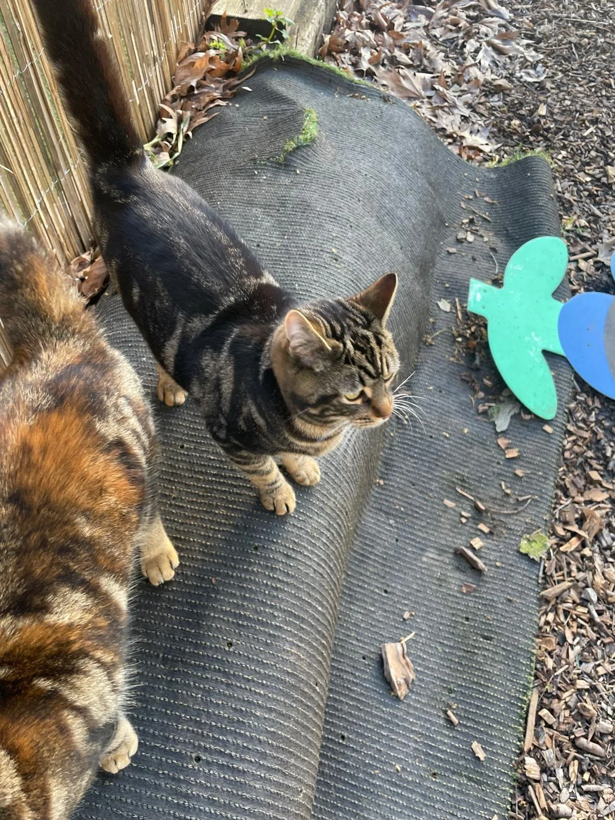 WhatsApp Image 2026-04-14 at 09.35.15 (2).jpeg