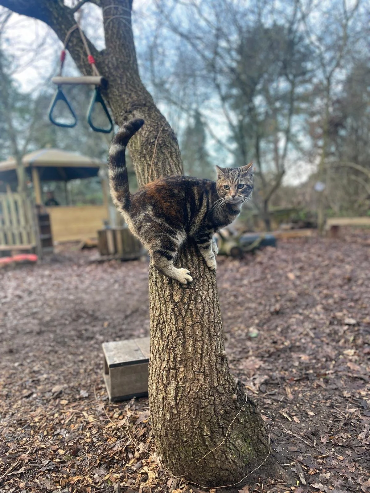 WhatsApp Image 2026-04-14 at 09.35.15.jpeg