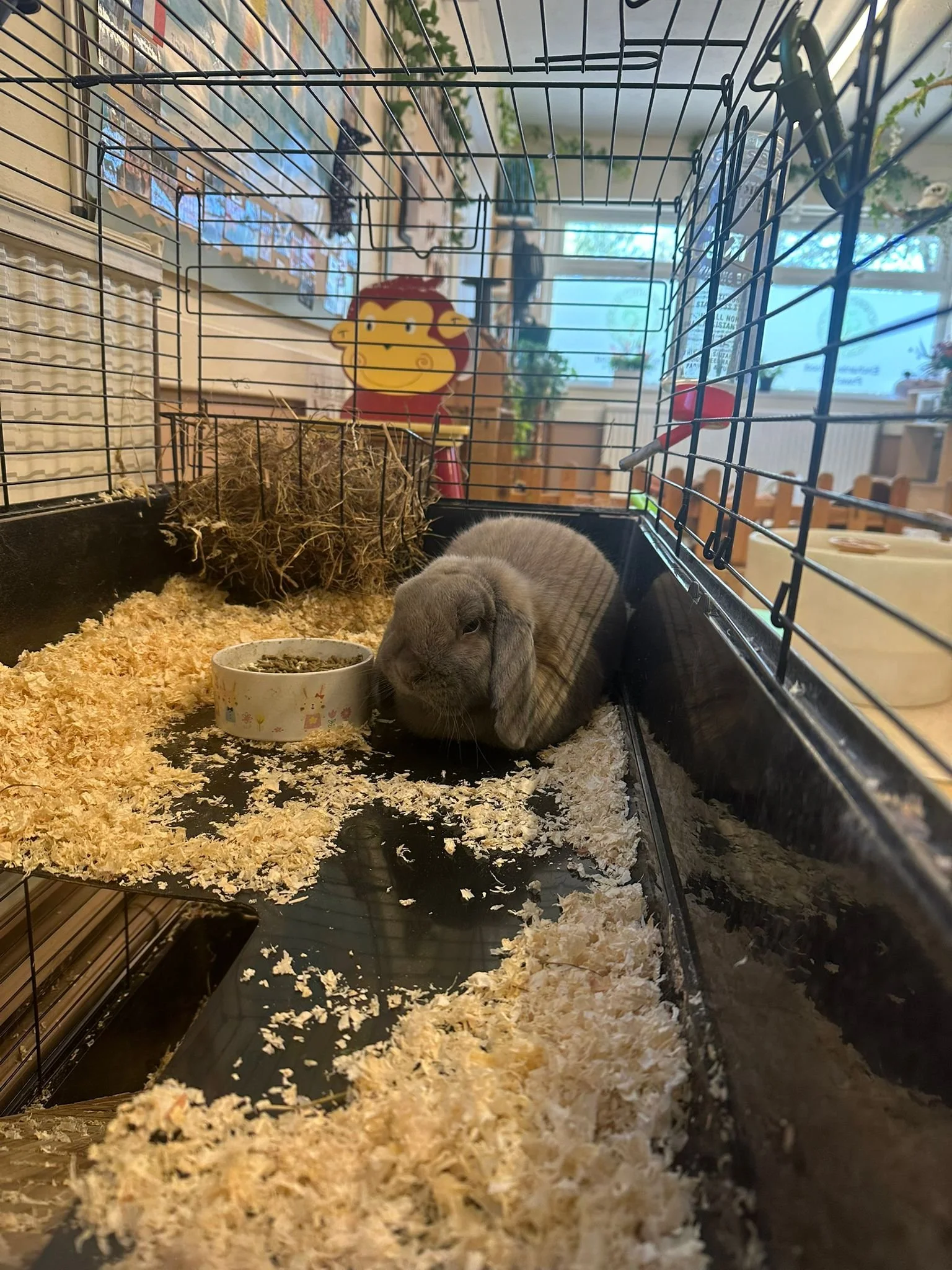 WhatsApp Image 2026-04-14 at 09.36.02.jpeg