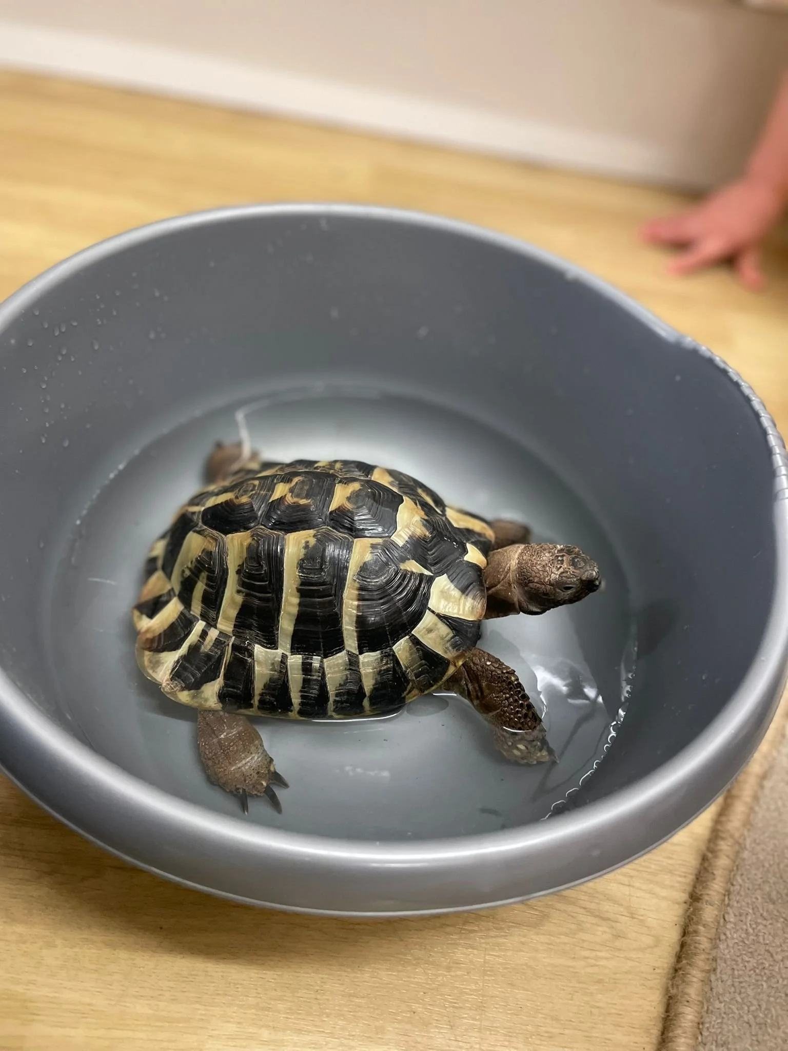 WhatsApp Image 2026-04-14 at 09.42.31 (1).jpeg