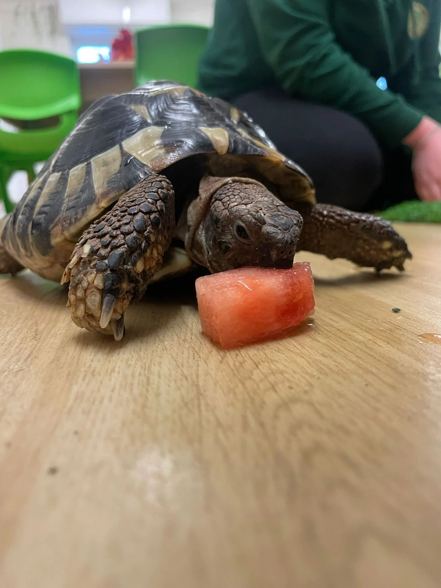 WhatsApp Image 2026-04-14 at 09.42.31.jpeg