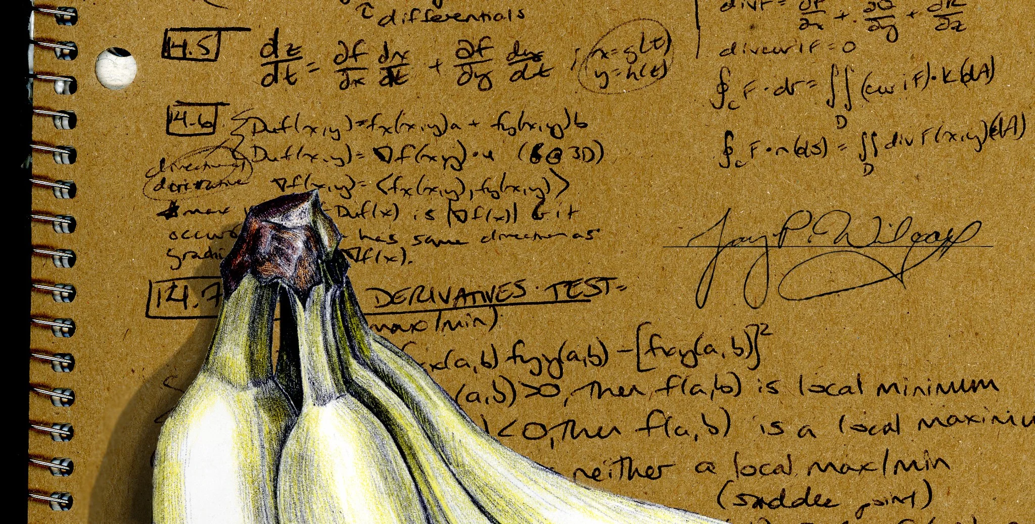 Bananas on Notebook.jpg