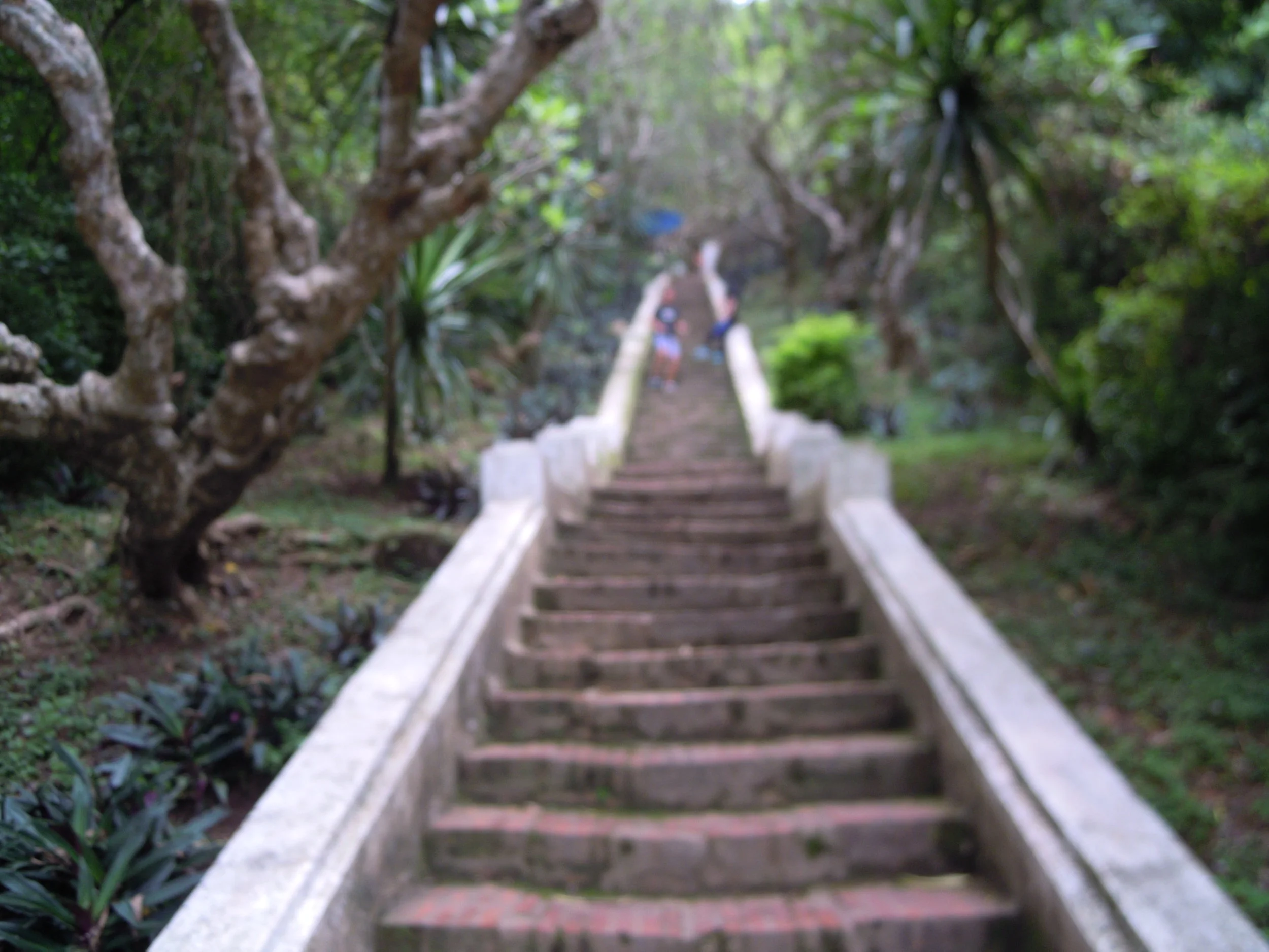 Newsletter from Jay Wilcox - April 2019: On What's "Natural" vs. "Good"