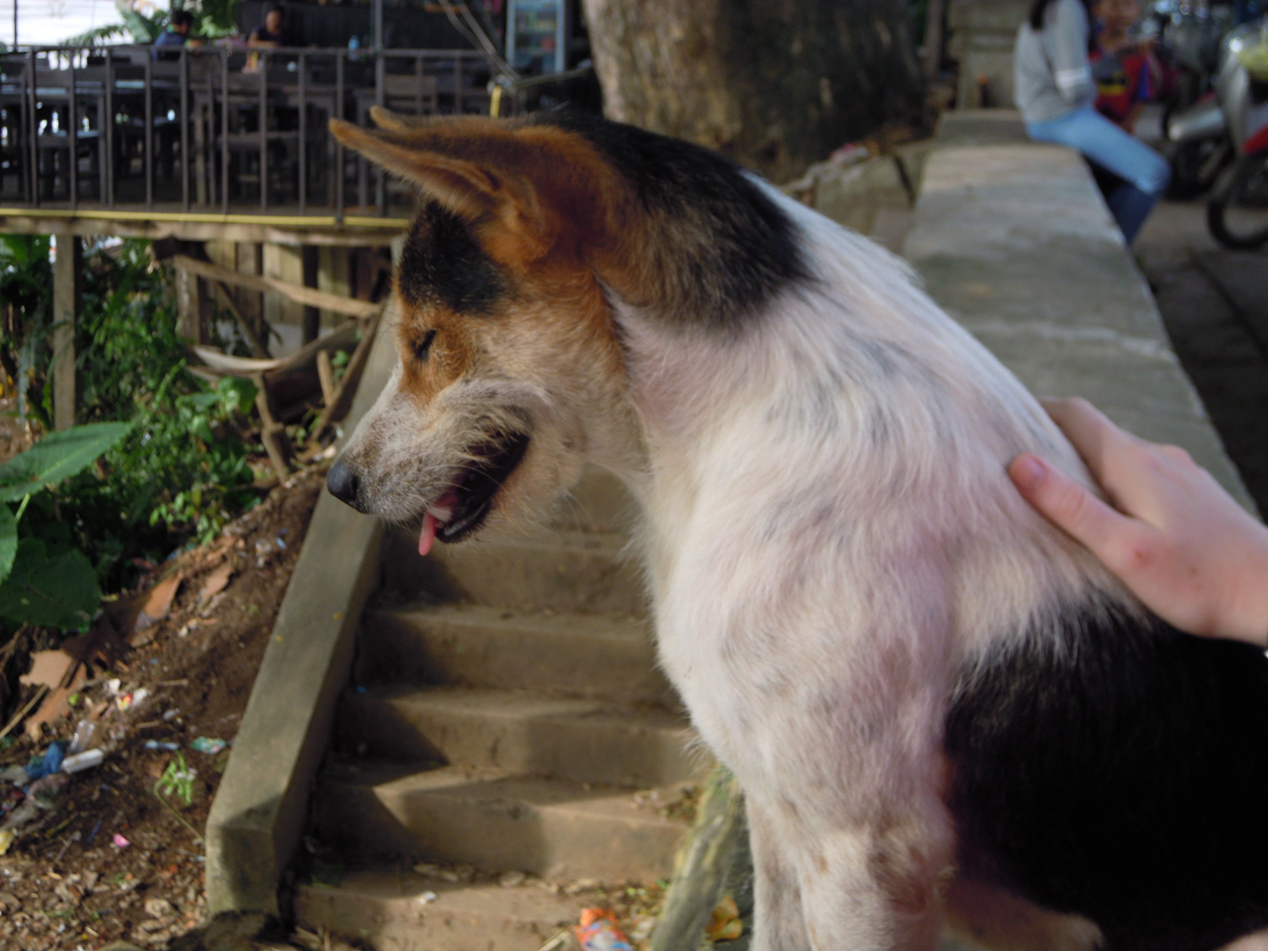 Newsletter from Jay Wilcox - June 2019: On Justice, Wrath