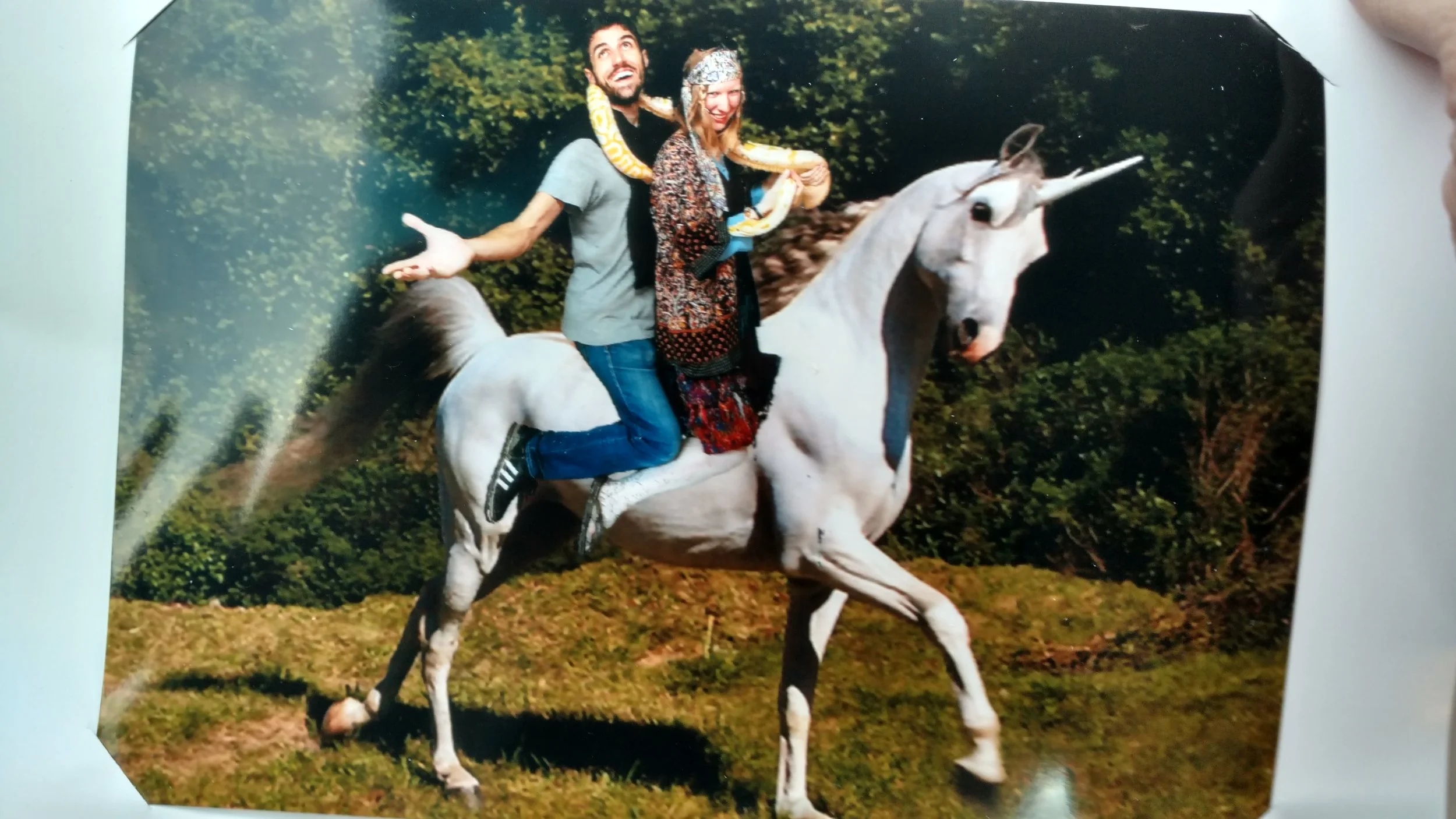 Newsletter from Jay Wilcox - September 2019: On the Convenient "Other" and Being All Up in Someone's Face