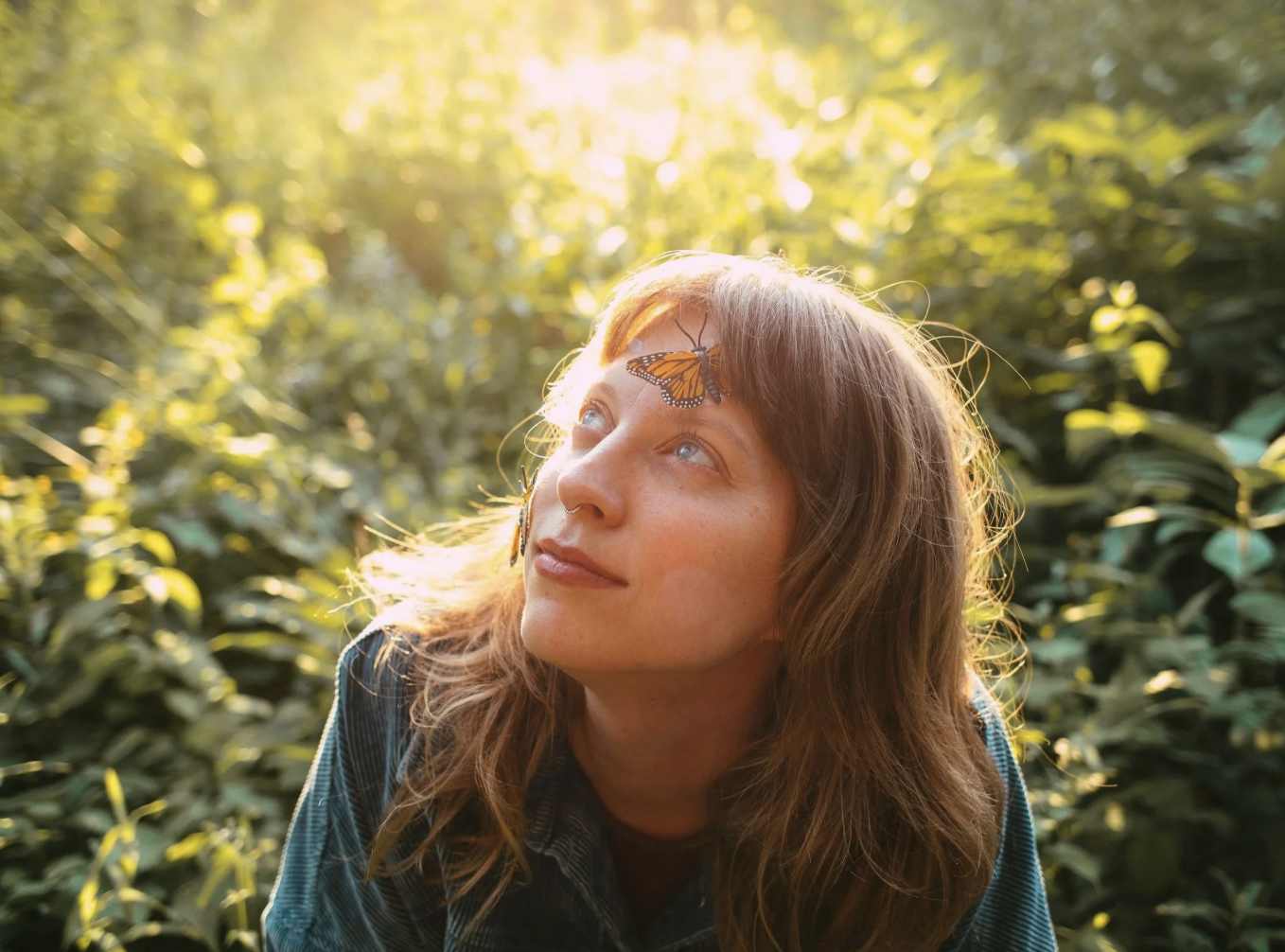 Live Music | Humbird