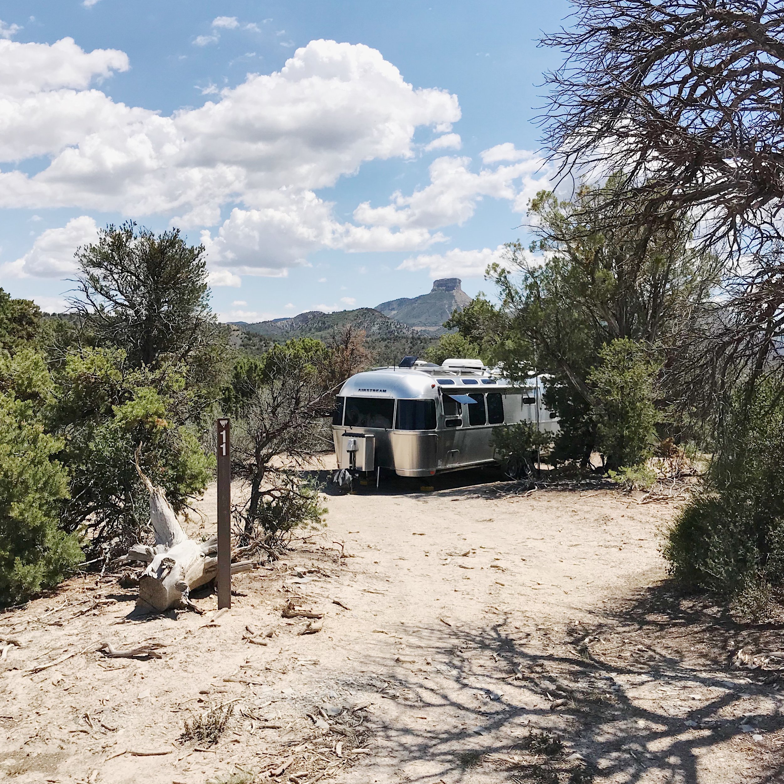 Site 11 that we barely squeezed our 30' trailer into.