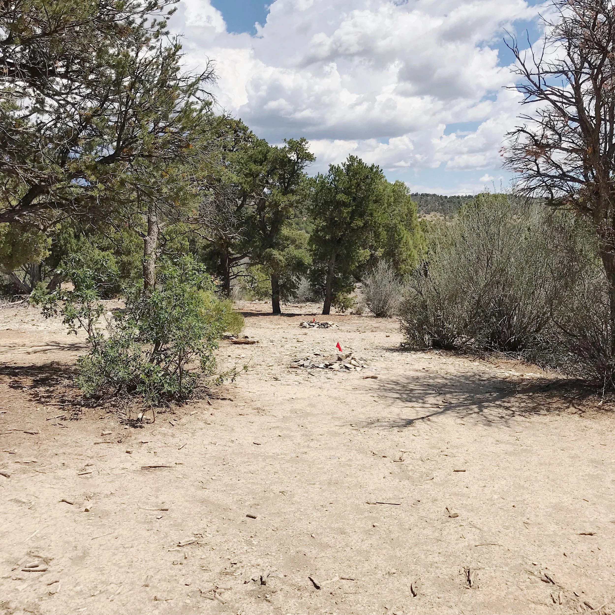 The front door opened out to this small clearing.