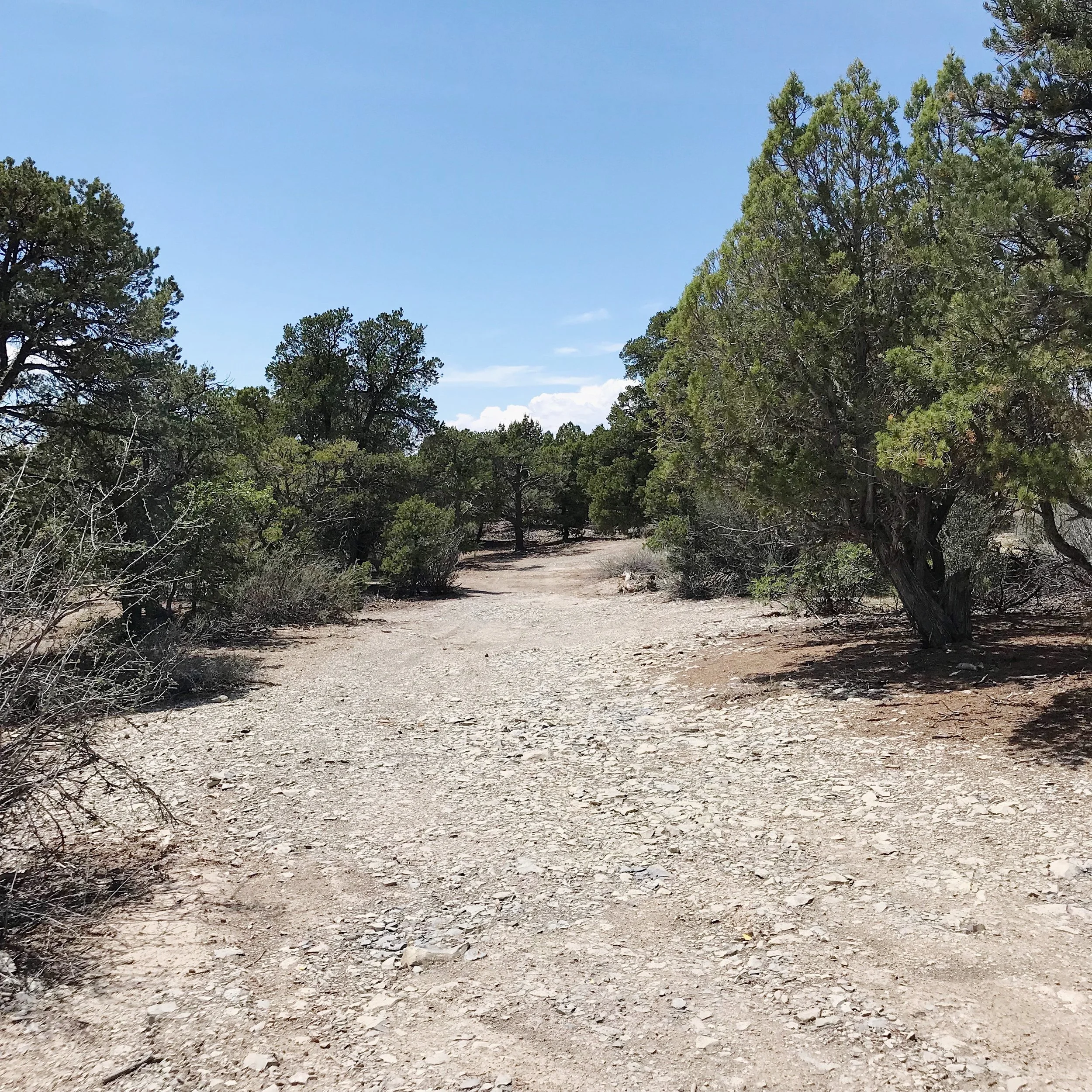 Don't try to pull through from site 10 with a 30' trailer!&nbsp;