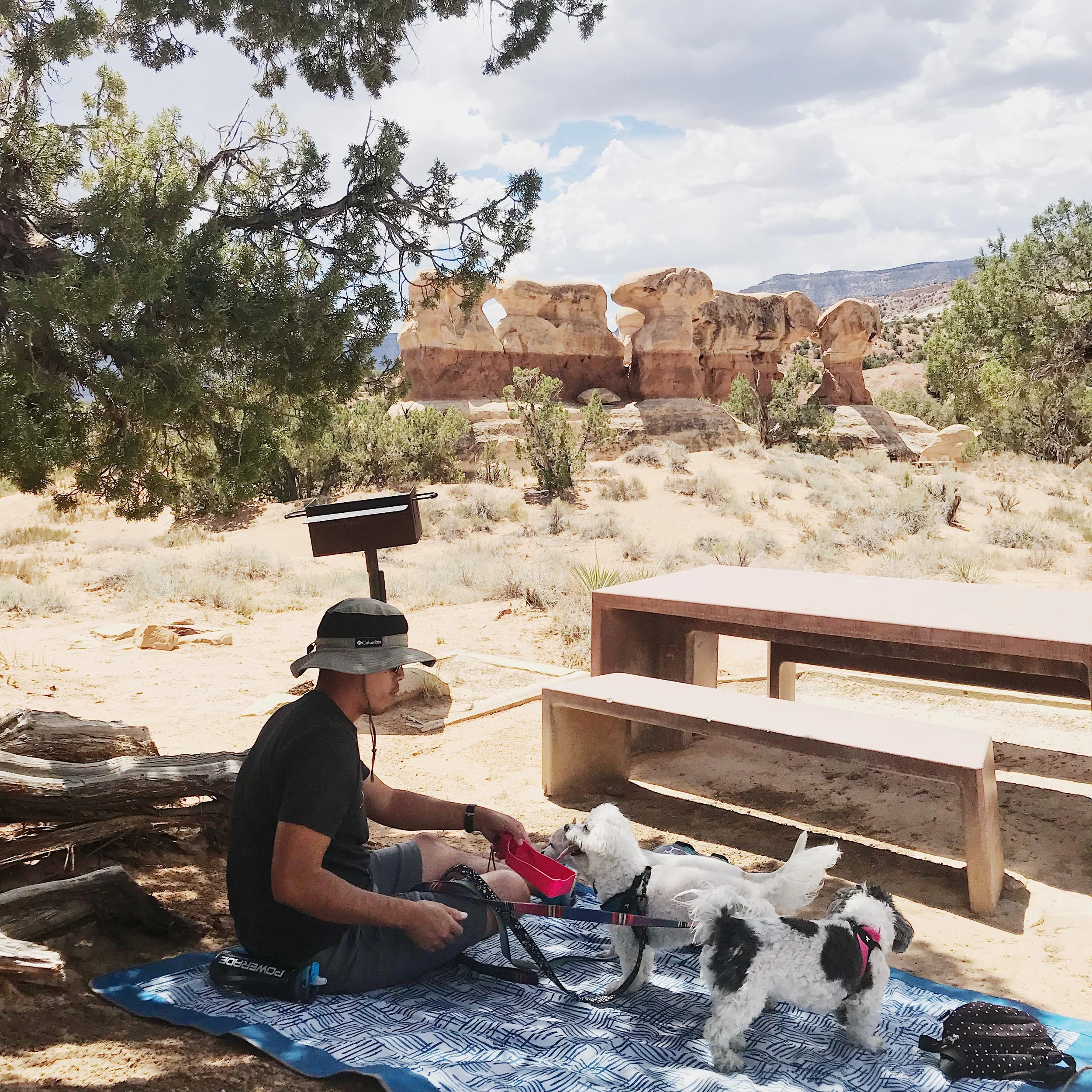 We brought out our picnic blanket so we could sit in the shade