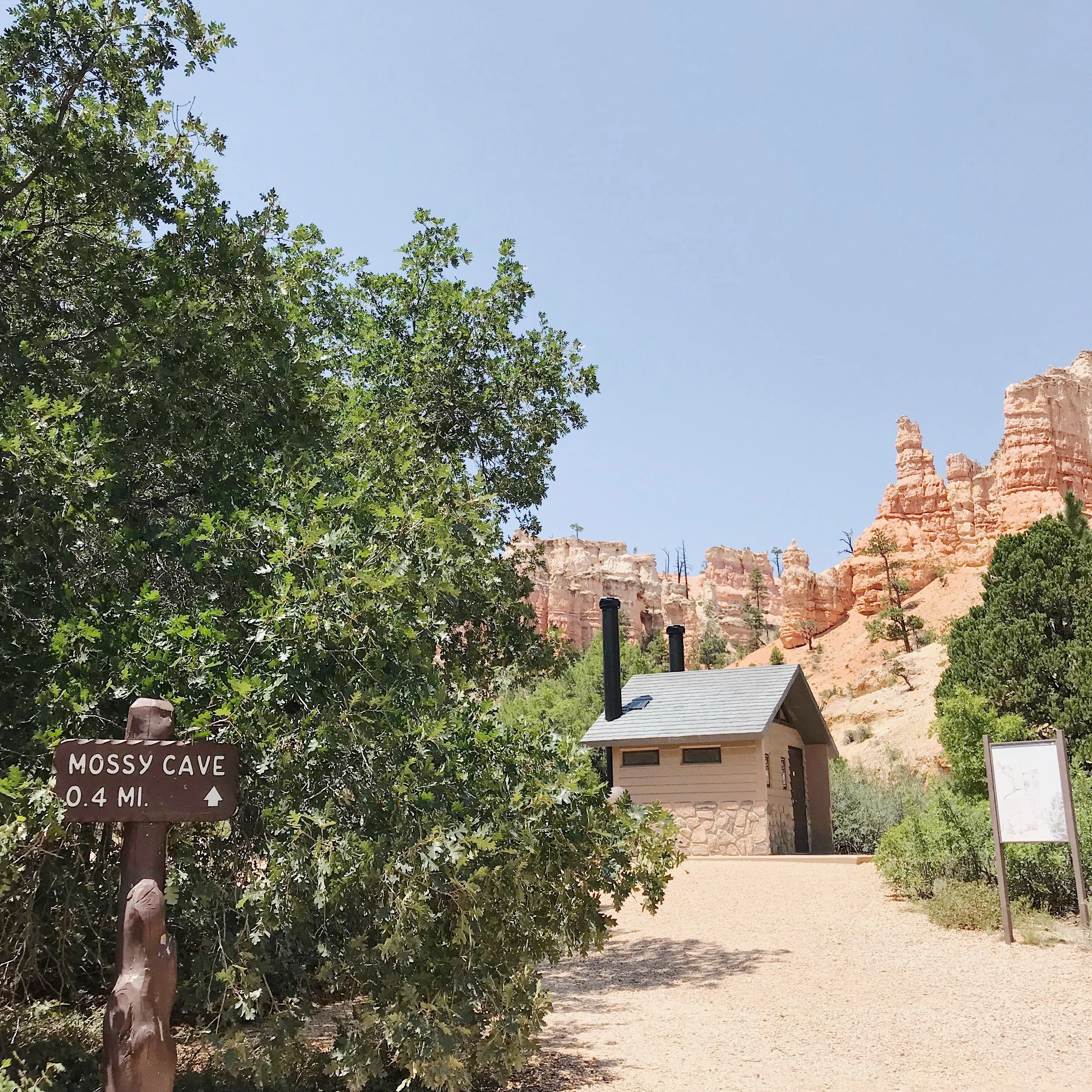 MossyCaveTrail.JPG