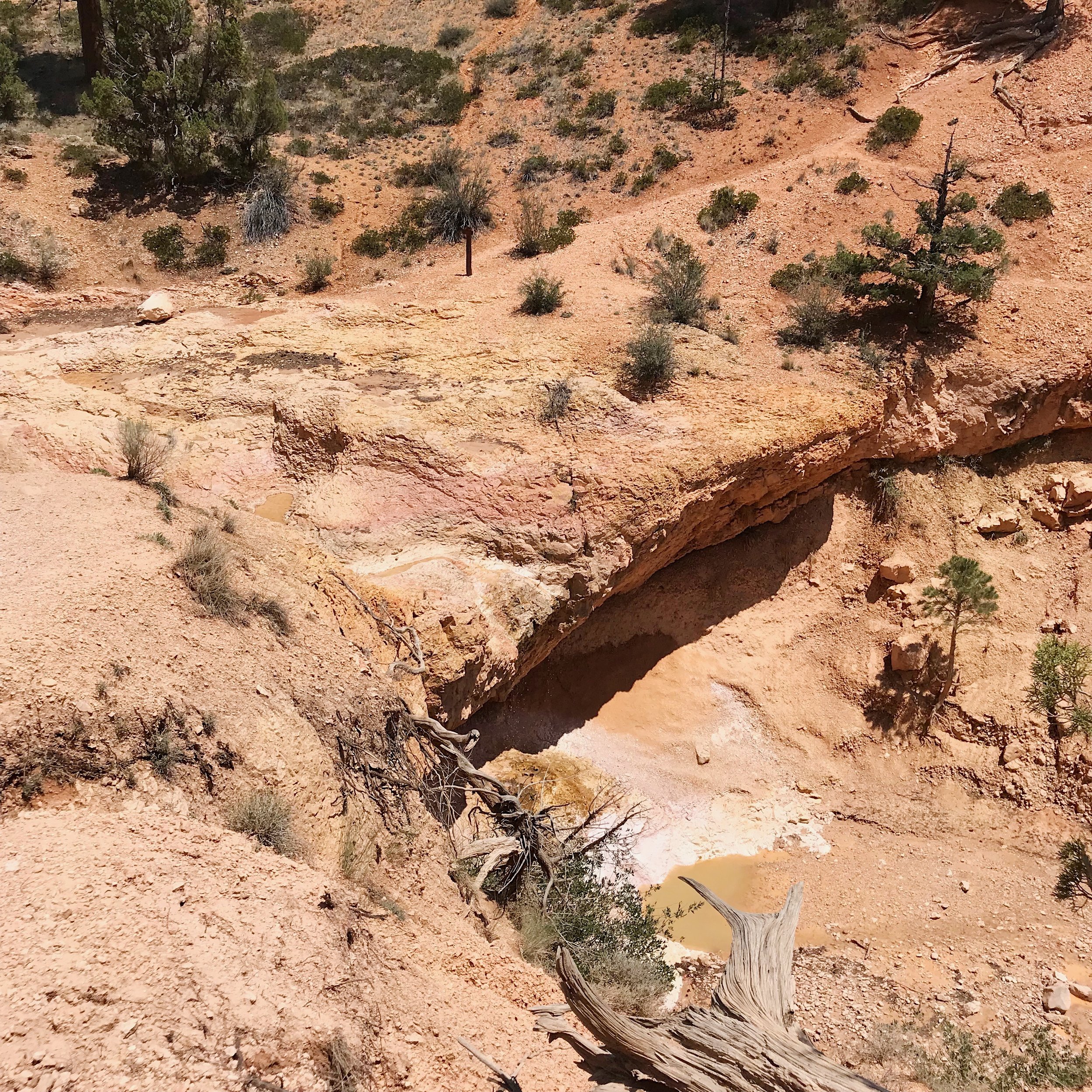 The "waterfall" - This time of year it was pretty much dried up... But there was the tiniest trickle of water.&nbsp;