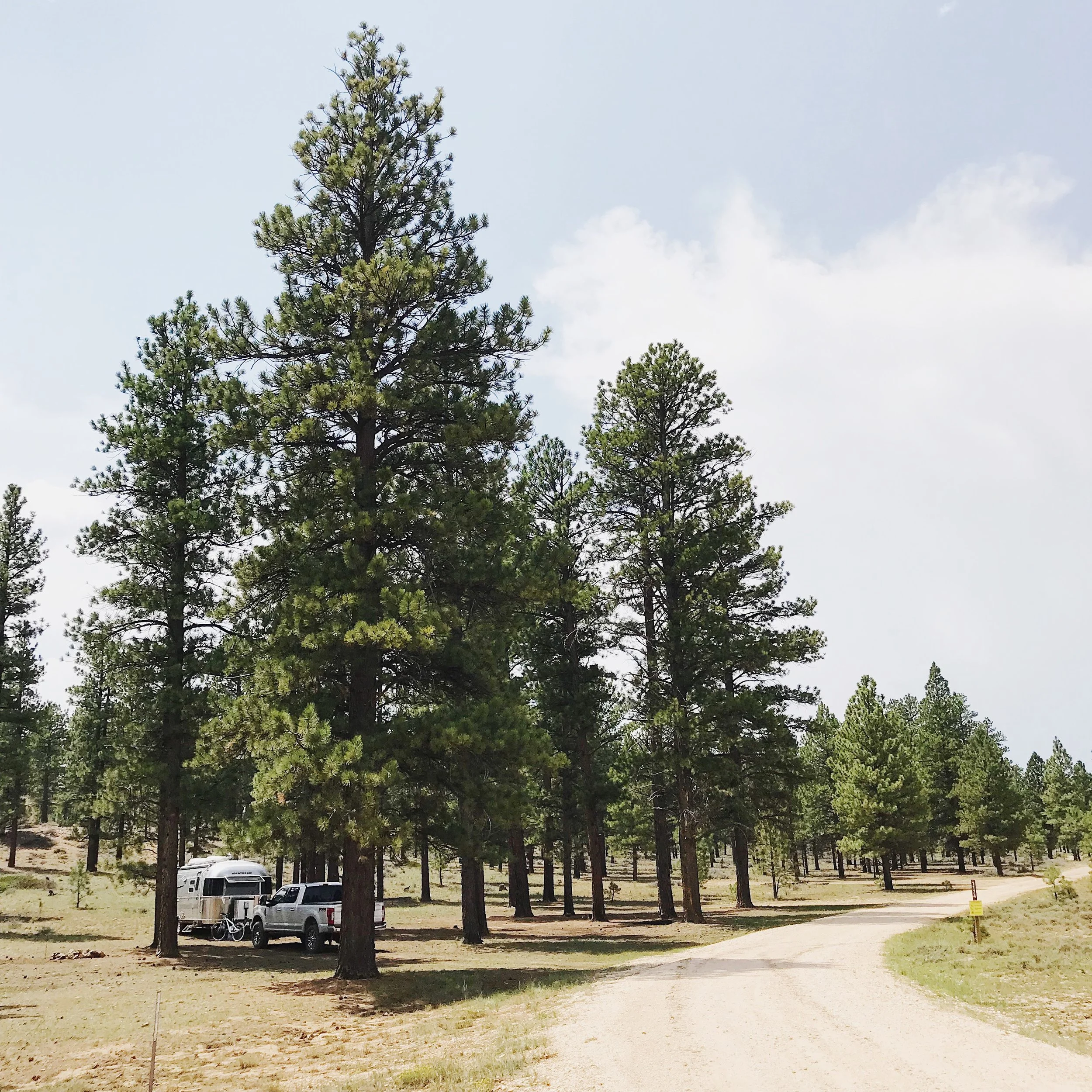 George's Gift - Free dispersed camping