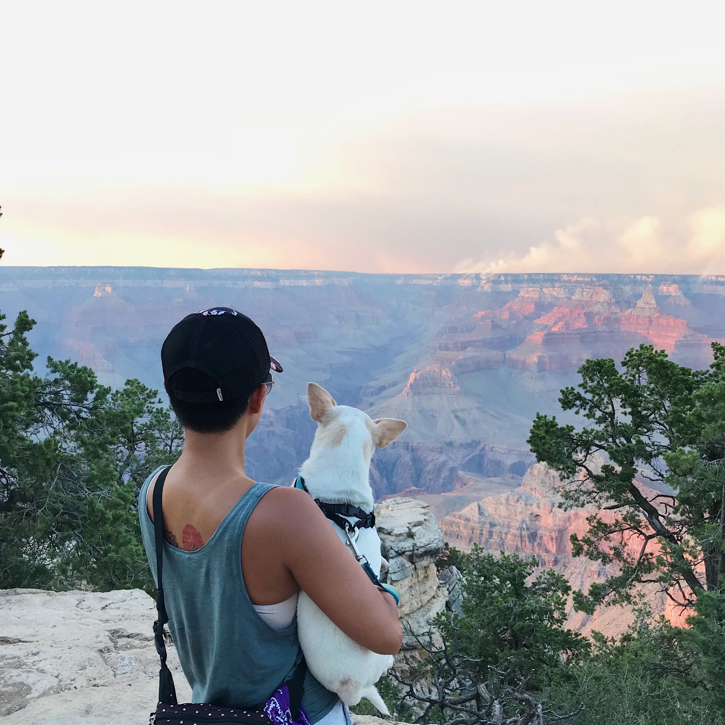 Hannah and JoJo Looking Out.JPG