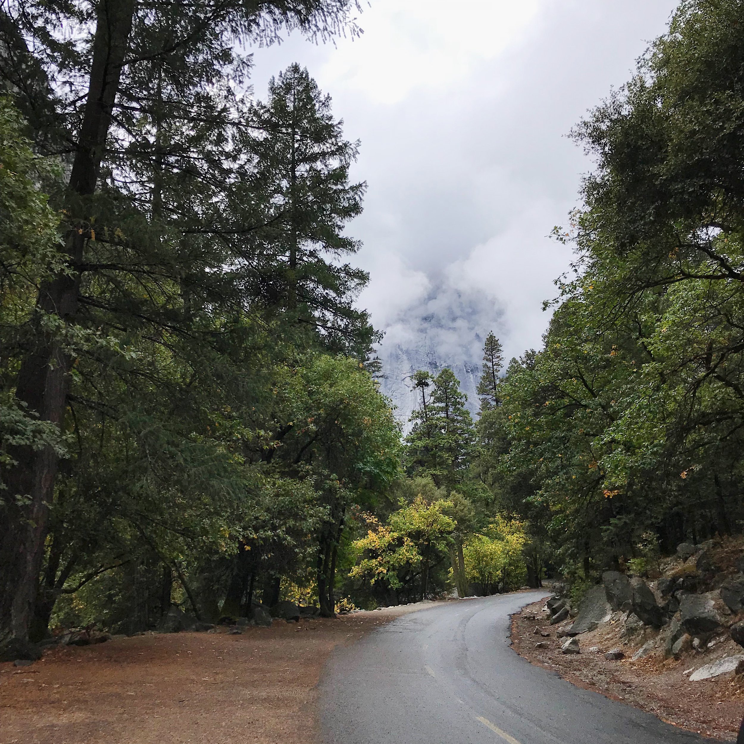 Trail-to-Yosemite-Village-2.JPG