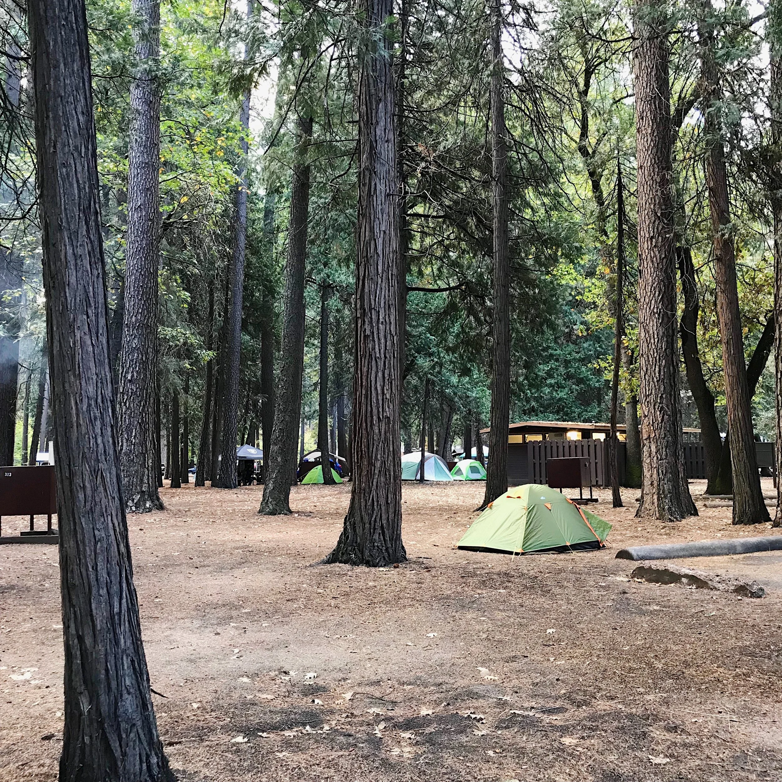 The bathrooms (flush toilets) were right behind our site and it even had a waste water sink that we were able to dump our dirty dish water into and save space in our waste tanks!