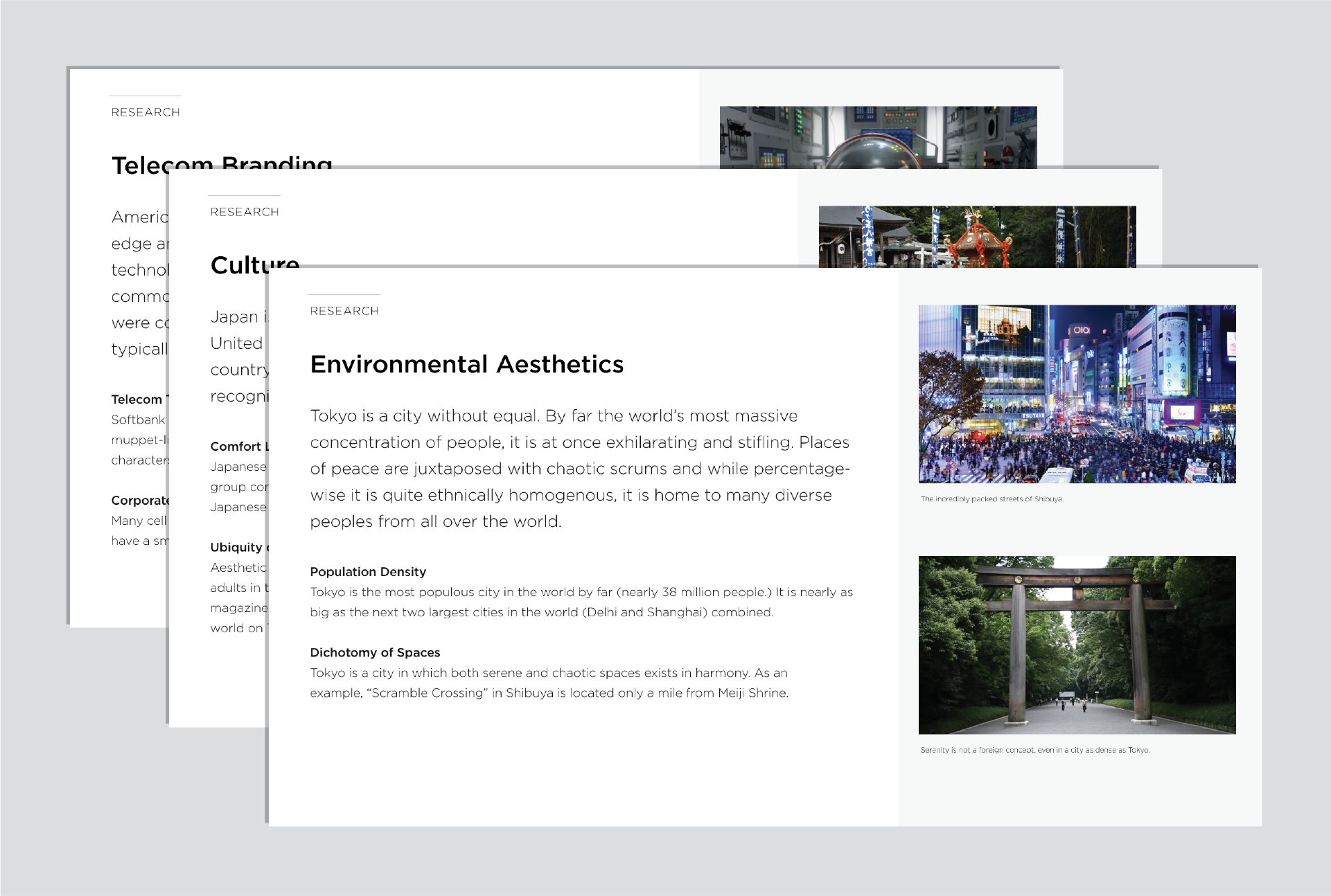 Research also yielded high-level insights about Japanese culture which guided visual decisions and experience principles throughout the course of the project.