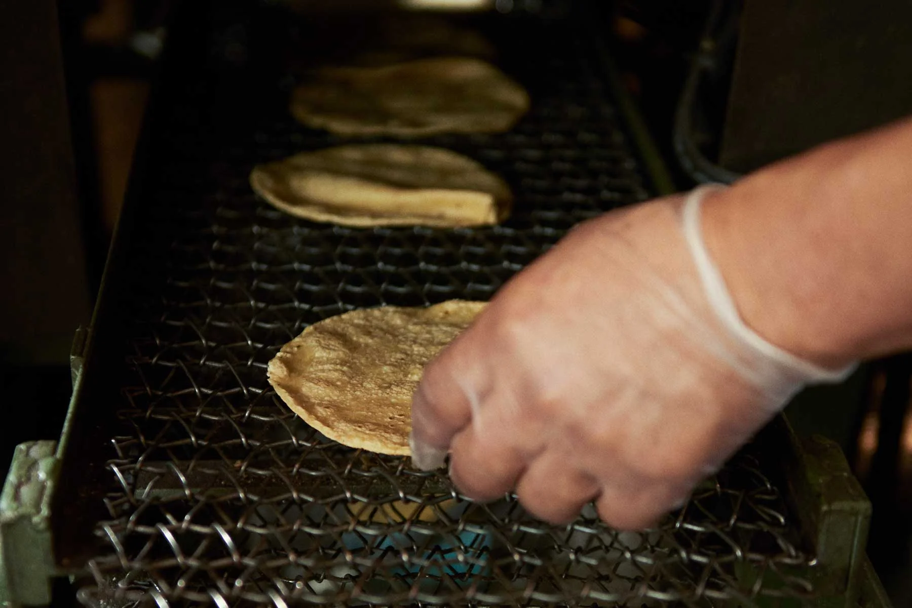 Corn tortillas — Vista Hermosa