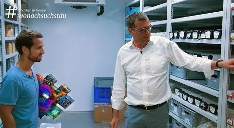 Was macht das Klima? - Mainz - #wonachsuchstdu