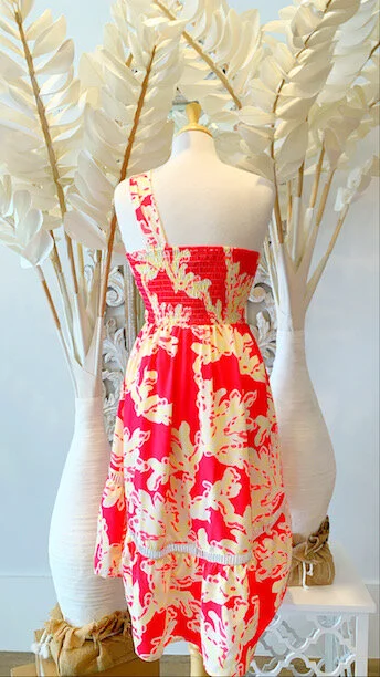 S20-7 CORAL BACK SMALL.jpg