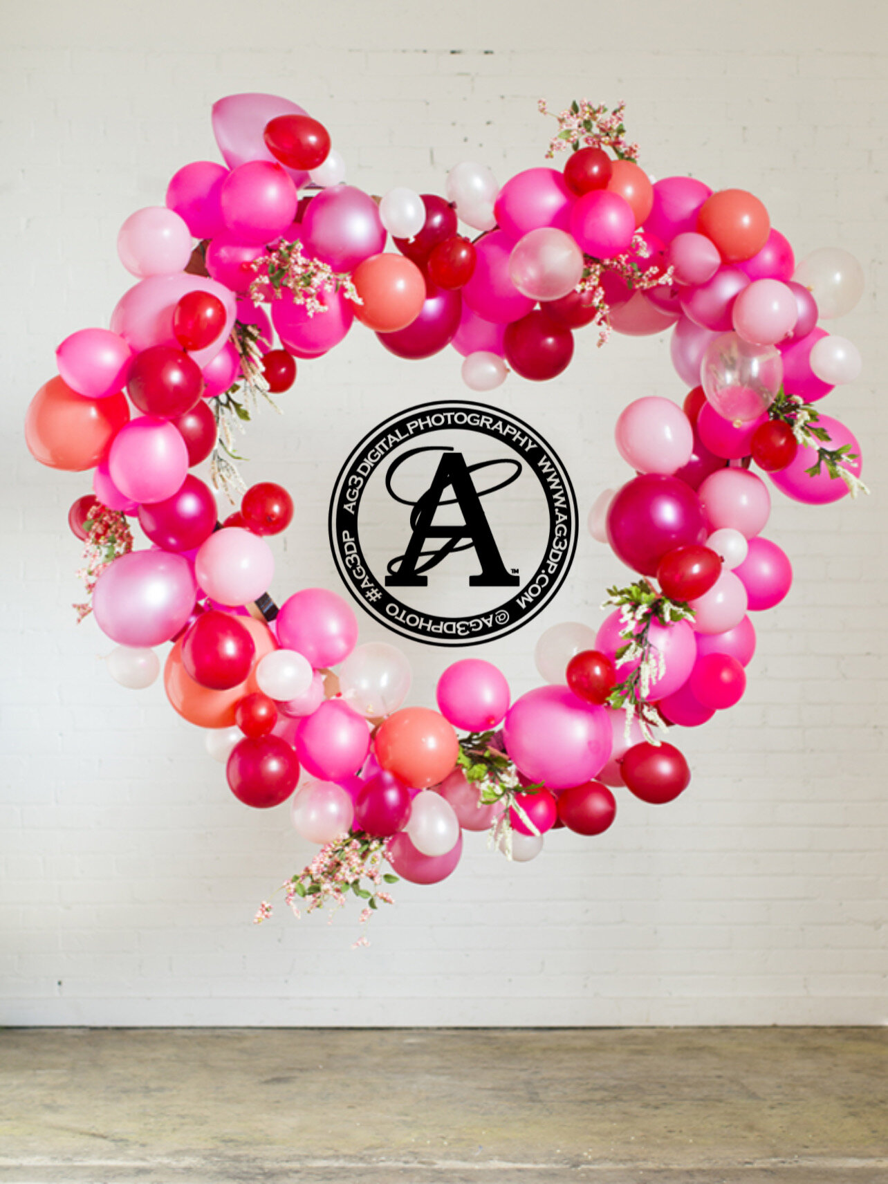 Valentine's Day Mini Session Pop-Up Photo Session PART II