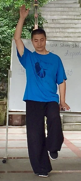 Teacher Xi - He Qi Si Gu; Shen Shou Zhong Huan - Crane Looks Around, Mind Inside