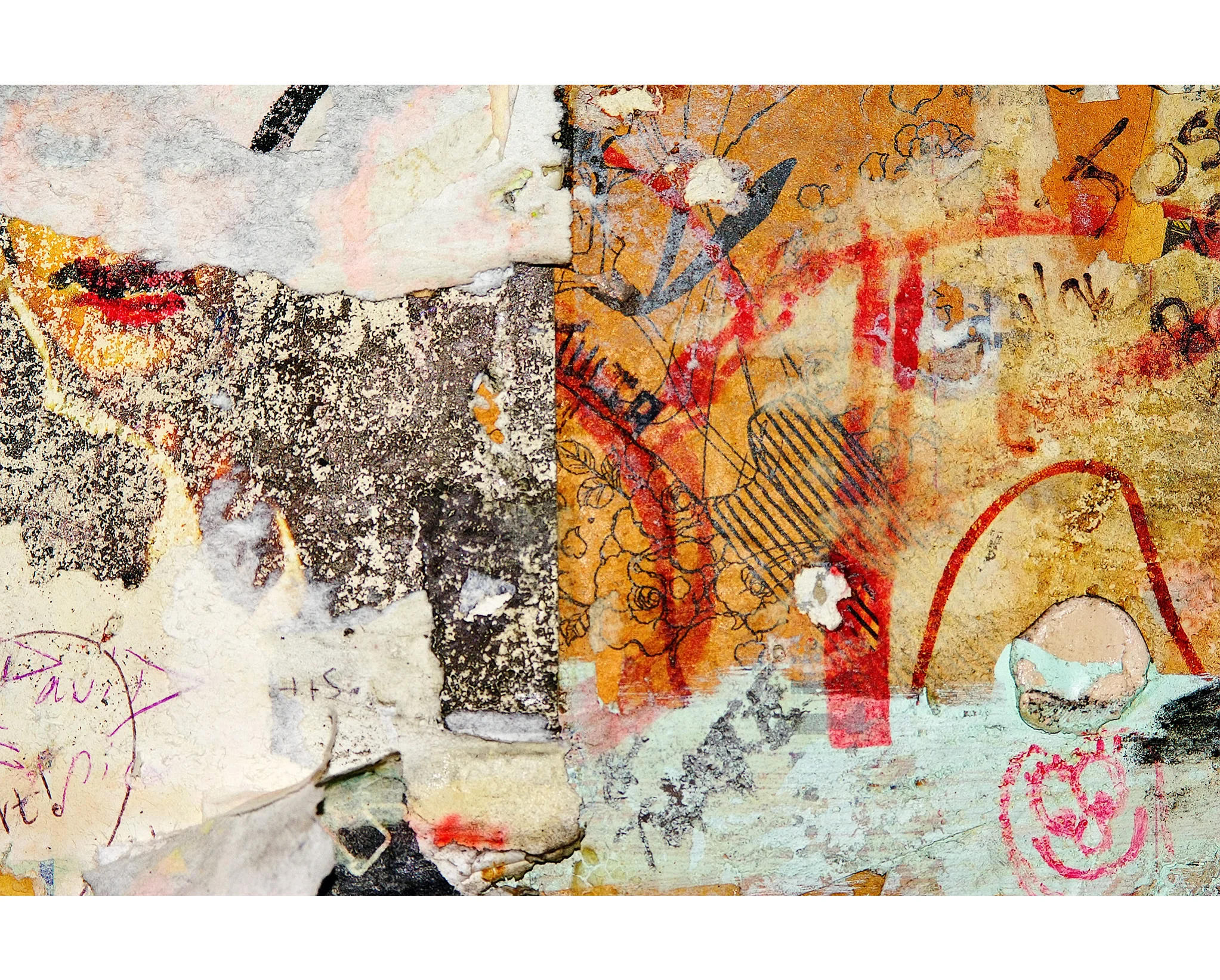 collage_1.jpg