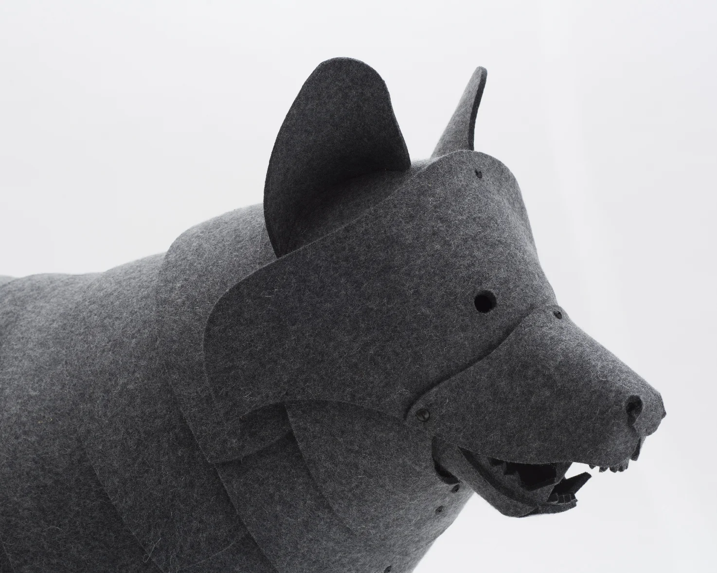 wolfie5190_web.jpg