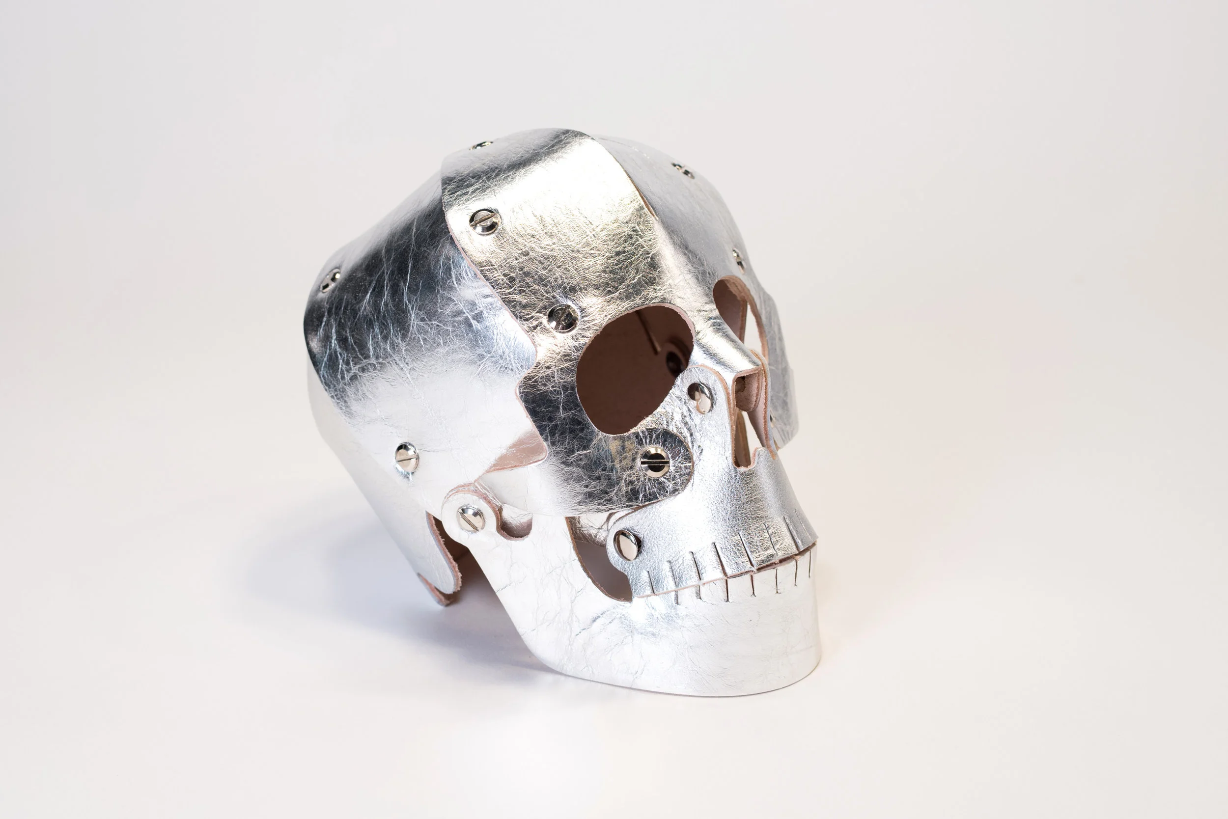 HeavyEyes_Barneys_silverskull copy.jpg